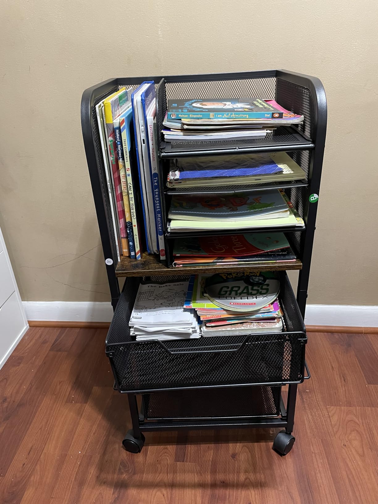 6-Tier Rolling File Cart with 2 Drawers, File Cabinet Organizer for Hanging File Folders, Letter-Size File Storage with Wheels, Multi-Layer Mobile Filing Cabinet for Office and Home customer photo 1