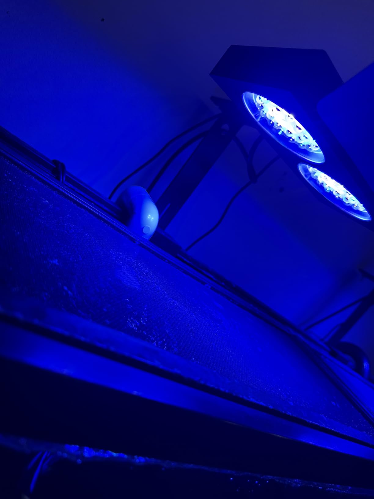 NICREW NavaReef 65 Reef LED Light, 65W Reef Aquarium Lighting for Soft/LPS Corals and Saltwater Fish Tanks, Built-in Timer, Blue Focused Spectrum customer photo 2