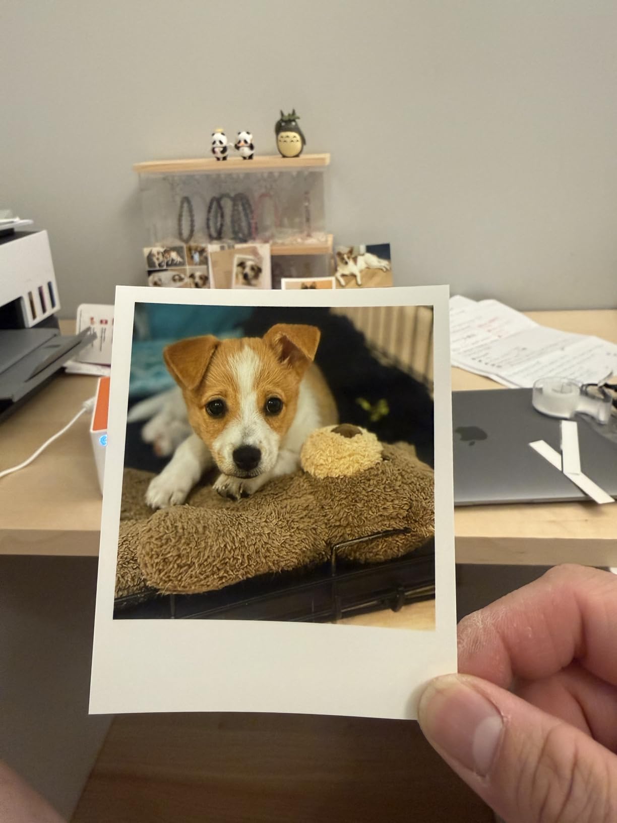 Liene Amber M110 Bluetooth Photo Printer - 80 Sheets - Portable Photo Printer for iPhone - Thermal Dye Sublimation customer photo 1