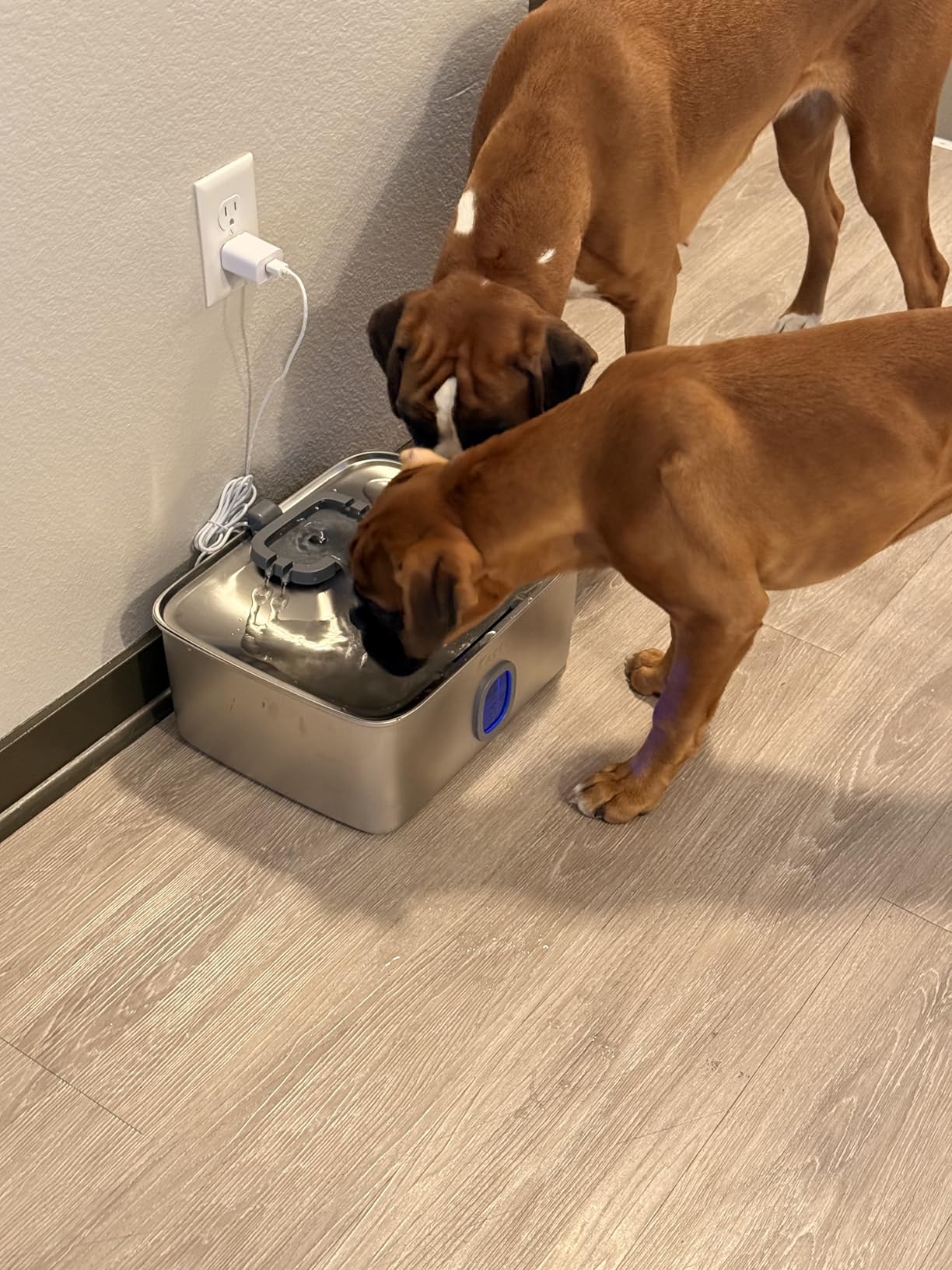 Kastty 4 Gal Dog Water Fountain for Large Dogs, 15L Stainless Steel Dog Water Bowl Dispenser Triple Filtration, Ultra Quiet Automatic Pet Water Fountain with Water Level Window and LED Light customer photo 1