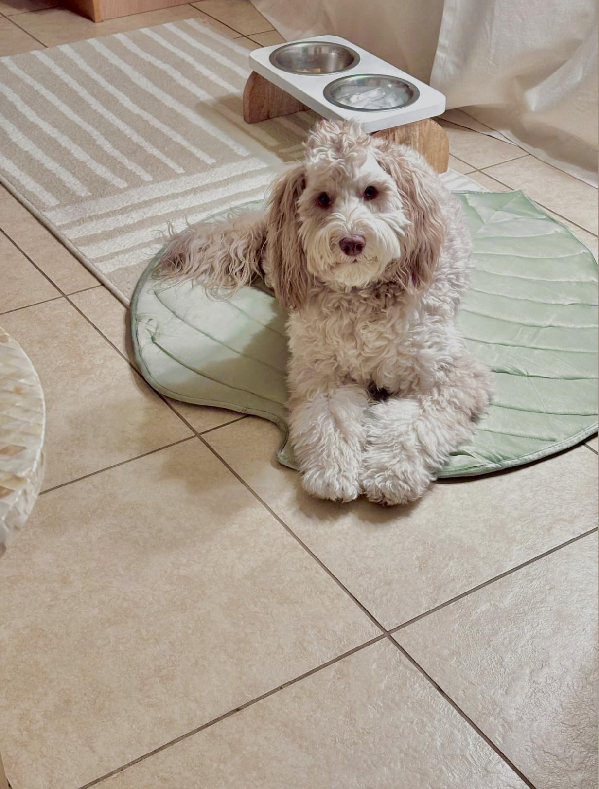 Vagascape Dog Cooling Mat, Washable Pet Cooling Mat, 35