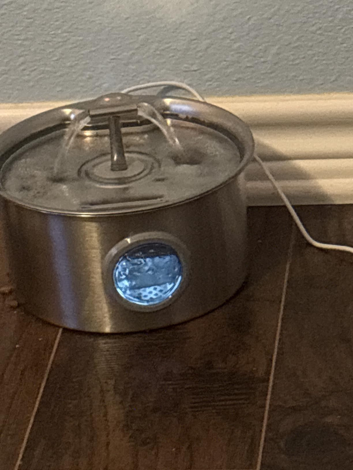 Cat Water Fountain Stainless Steel: 2.6L Cat Fountain for Drinking - Pet Water Fountain for Cats Indoor - Automatic Pet Water Dispenser Bowl - Best Auto Feeding Supplies Gift for Small Dog Large Kitty customer photo 1