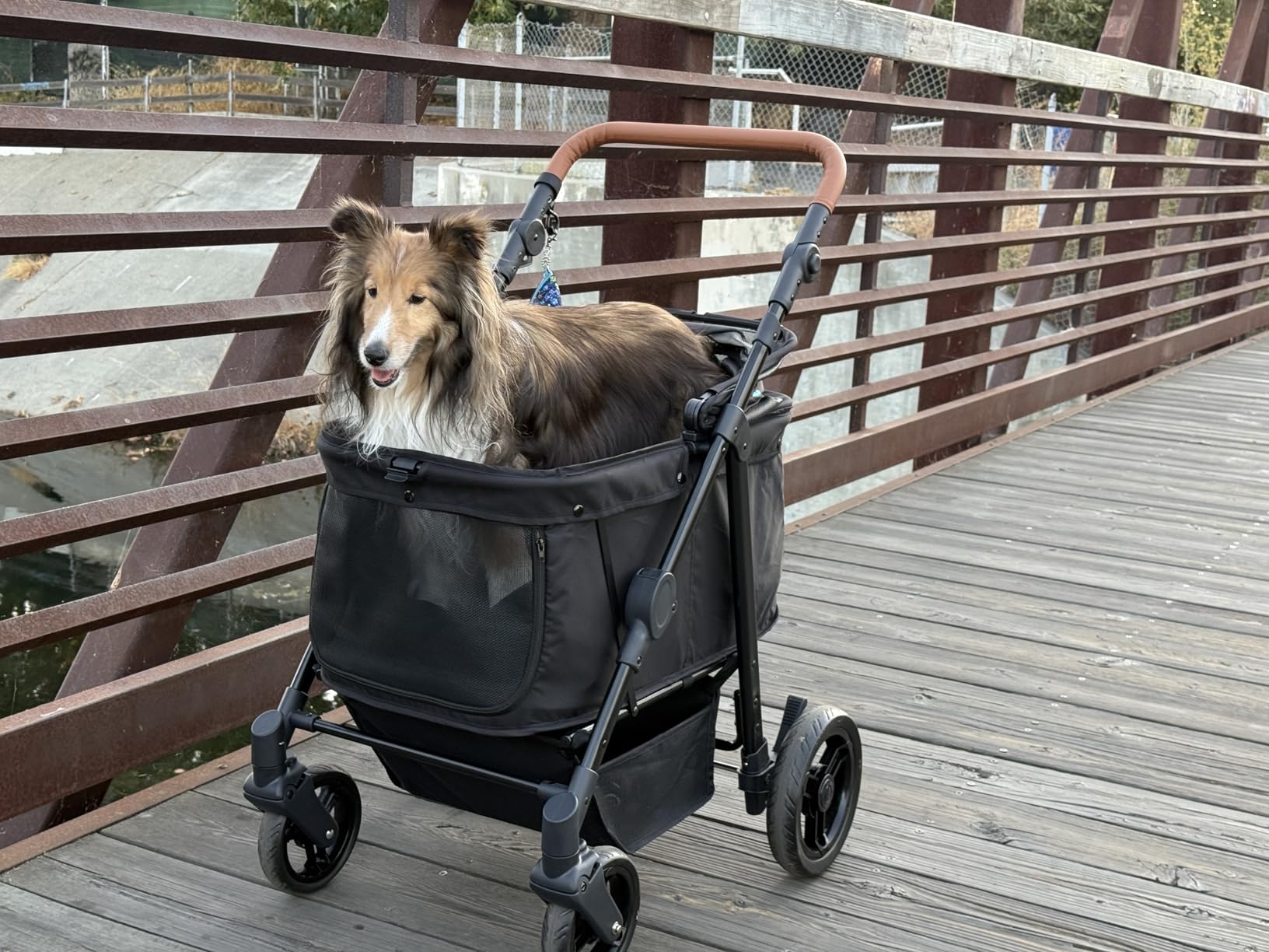Zoosky Medium Dog Stroller for Large Dogs, pet Stroller for Medium Dogs Up to 66lbs, All-Terrain with Adjustable Handle & Canopy customer photo 1