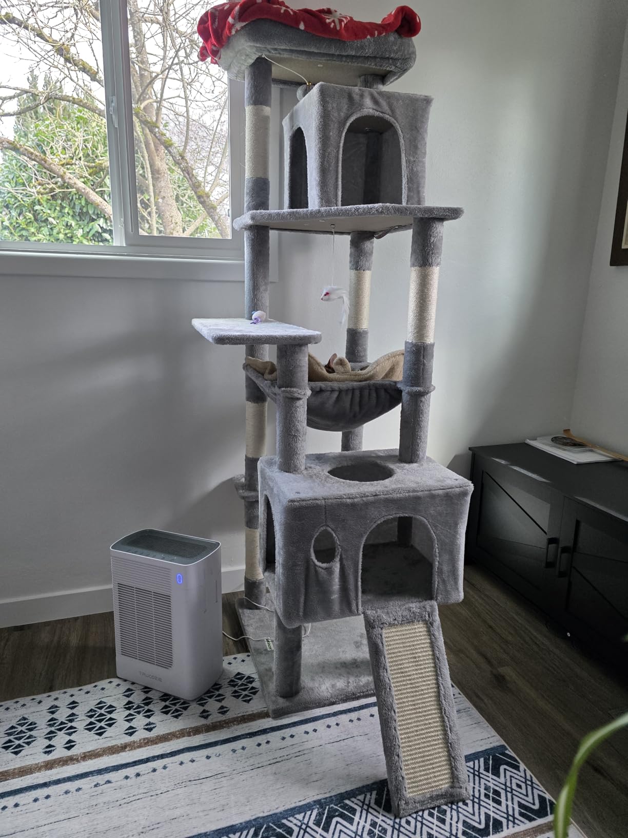 Globlazer Heavy Duty Cat Tree Tower, 70inch Sturdy Cat Tree for Indoor Cats Sturdy Large Cat Tower with Scratching Post and Scratching Board, Hammock, Cat Condo for Adult Cats Kittens, F70 Pro, Beige customer photo 1