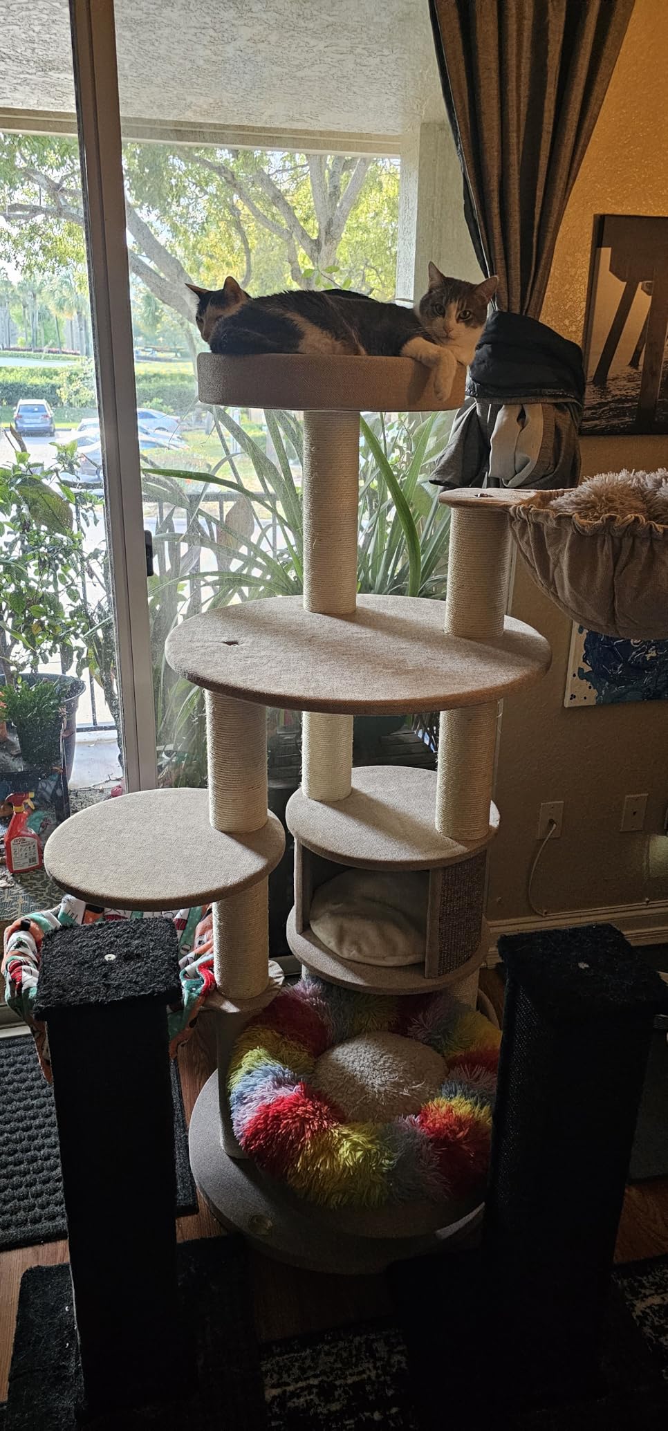 Extra Large Cat Tree for Maine Coon,65 Inches Tall Cat Tree Tower for Indoor Cats Large Adult 20 lbs,XXL Heavy Duty Luxury Sturdy Cat House with Big Hammock,Sisal Scratching Post,Condo customer photo 1