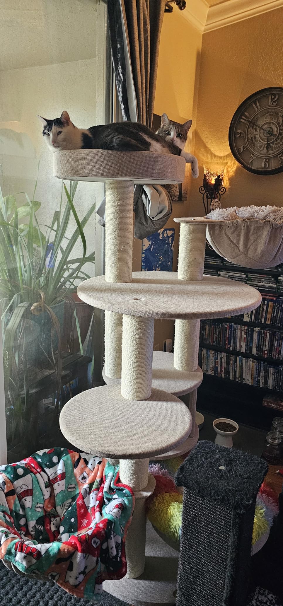 Extra Large Cat Tree for Maine Coon,65 Inches Tall Cat Tree Tower for Indoor Cats Large Adult 20 lbs,XXL Heavy Duty Luxury Sturdy Cat House with Big Hammock,Sisal Scratching Post,Condo customer photo 2