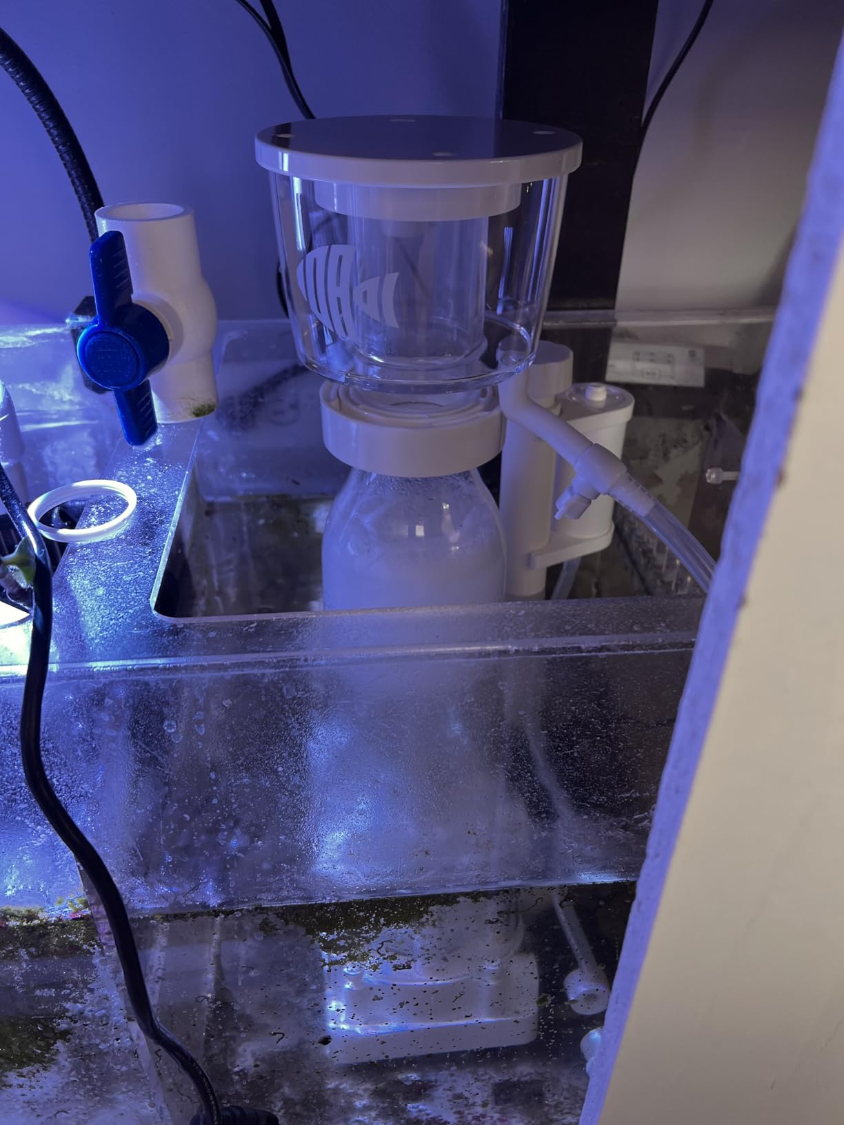 Protein Skimmer for Saltwater Aquariums, for Fish Tanks up to 110 Gallons, DC Needle-Wheel Pump, In Sump Use customer photo 2