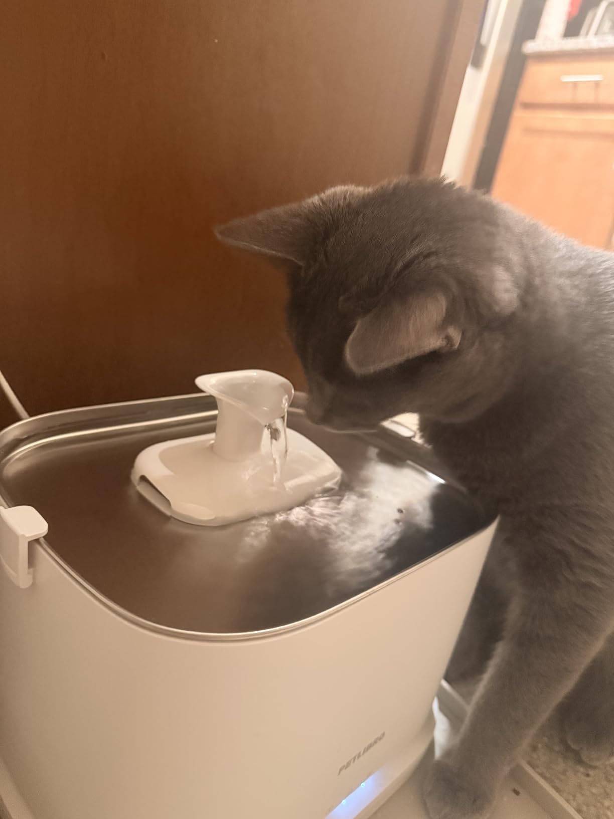 PETLIBRO Upgrade Cat Water Fountain Stainless Steel Tray, Dockstream 2 Cat Fountain Indoor, 3L/101oz Auto Cat Fountains for Drinking, App Monitoring Pet Water Fountain Dog, 5G WiFi Cat Water Dispenser customer photo 2