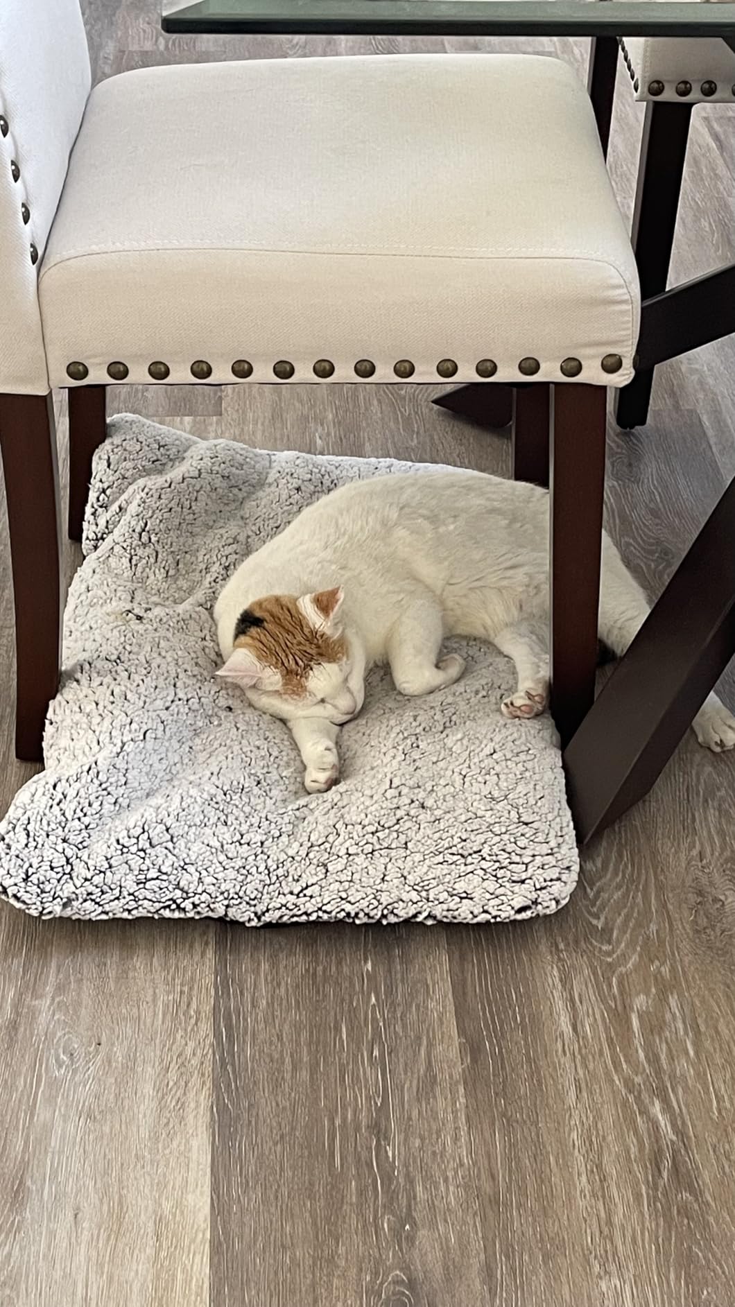 Self Warming Pet Bed for Cats & Dogs, Heated Pet Mat, 2.0 Upgraded Thermal Foil Heating Pad, Plush Self-Heating Bed for Crate, Floor, with Removable Washable Cover, Non-Slip, Gray, 18