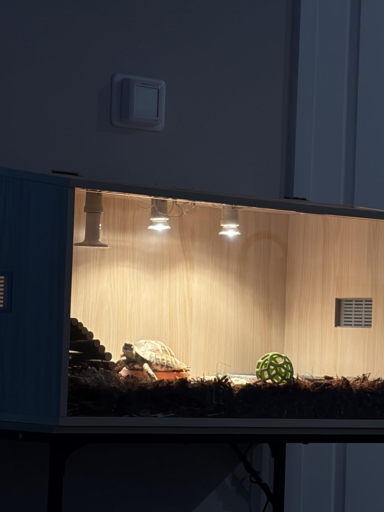 PROLEE Bearded Dragon Tank, Wooden Reptile Tank and Lizard Tank, Tempered Glass Large Bearded Dragon Enclosure with Built-in Lamp Fixture (48X20X20inch, 80 Gallons) customer photo 1