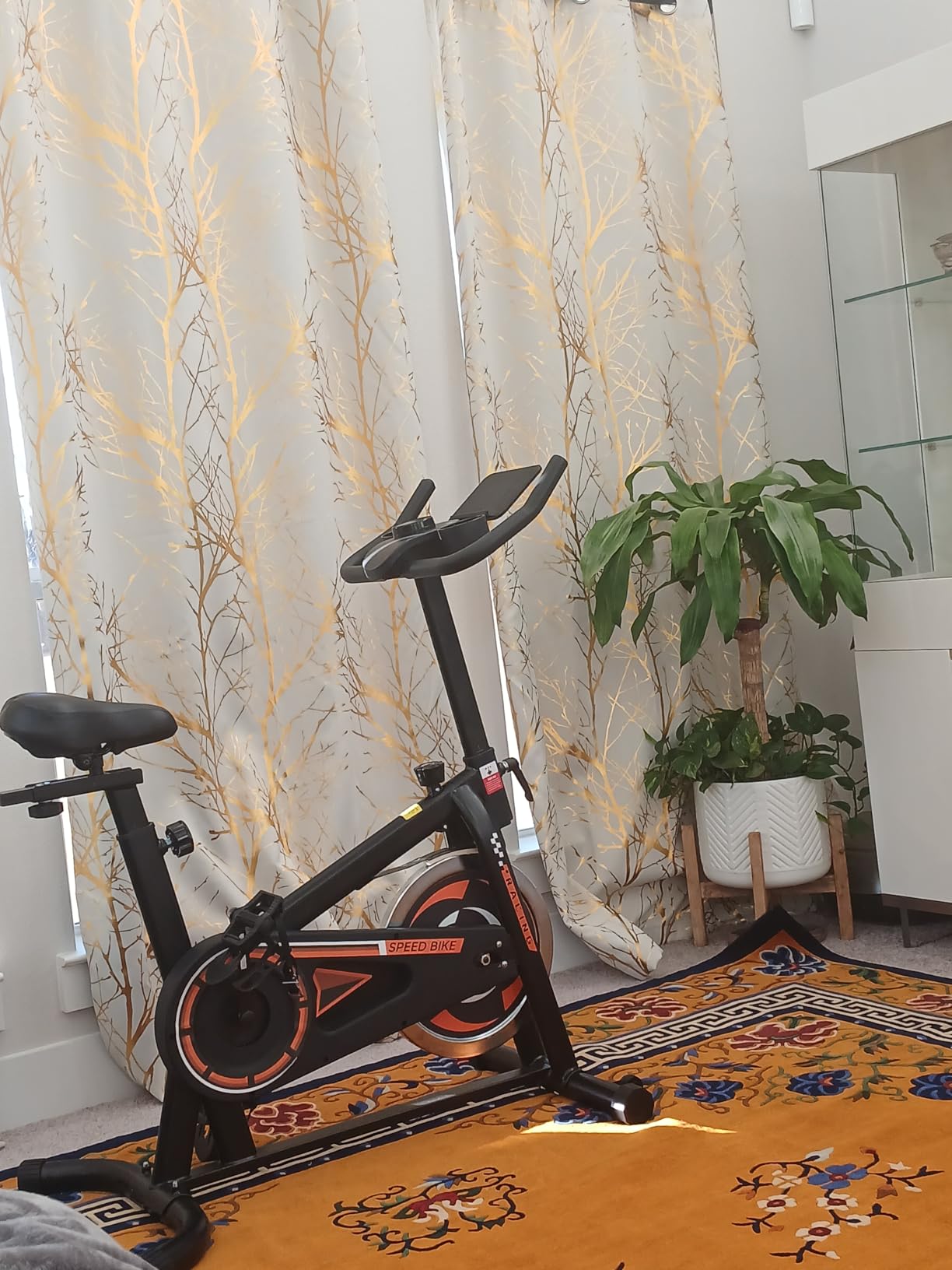 OWLSKY Exercise Bike with APP, Indoor Cycling Bike, 300 lbs Capacity Quiet Stationary Bike for Home Gym, Cardio Bike Workout, Adjustable Seat & Tablet Holder customer photo 1
