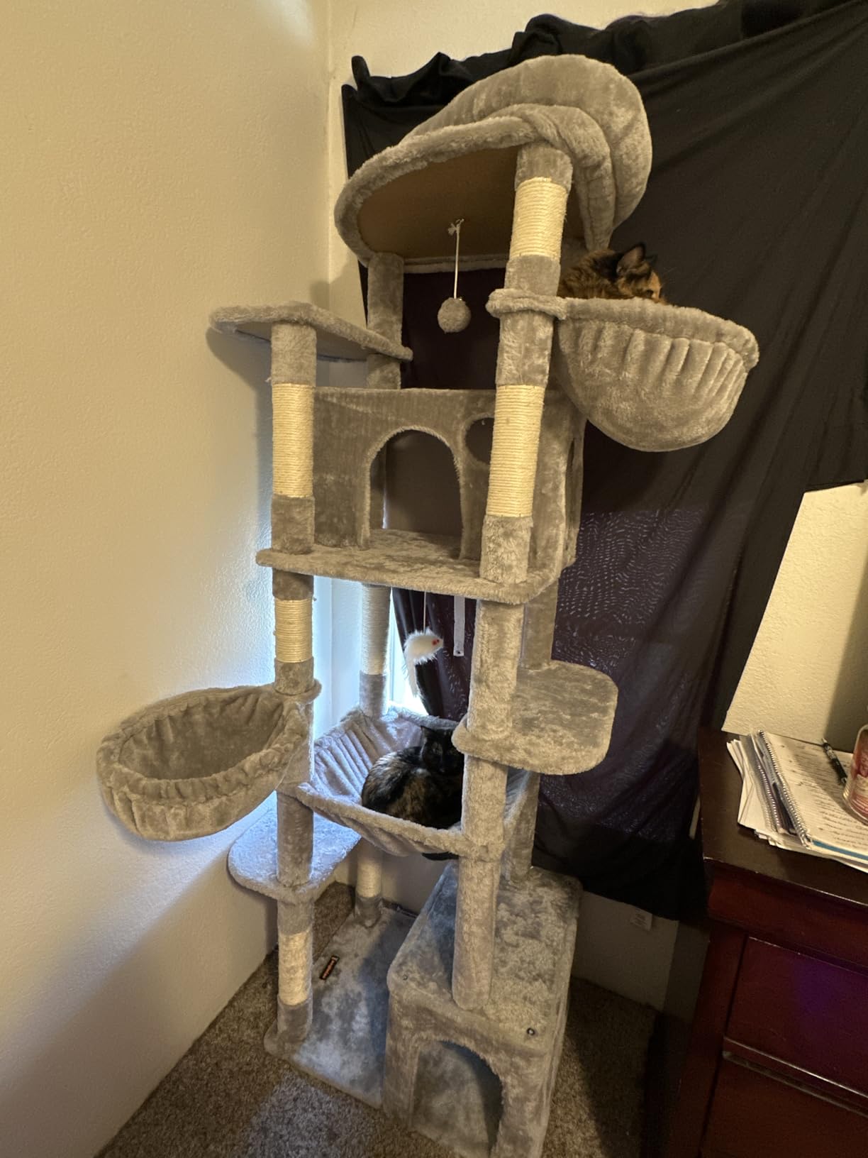 Taoqimiao 72 Inch Cat Tree, XXL Cat Tower for Indoor Cats Large Adult 25Lbs+, Extra-Large Platform, 2 Cat Houses, 7 Scratching Post, Extra-Sized Durable Hammock, Cozy Basket, Smoky Gray, F20G customer photo 2