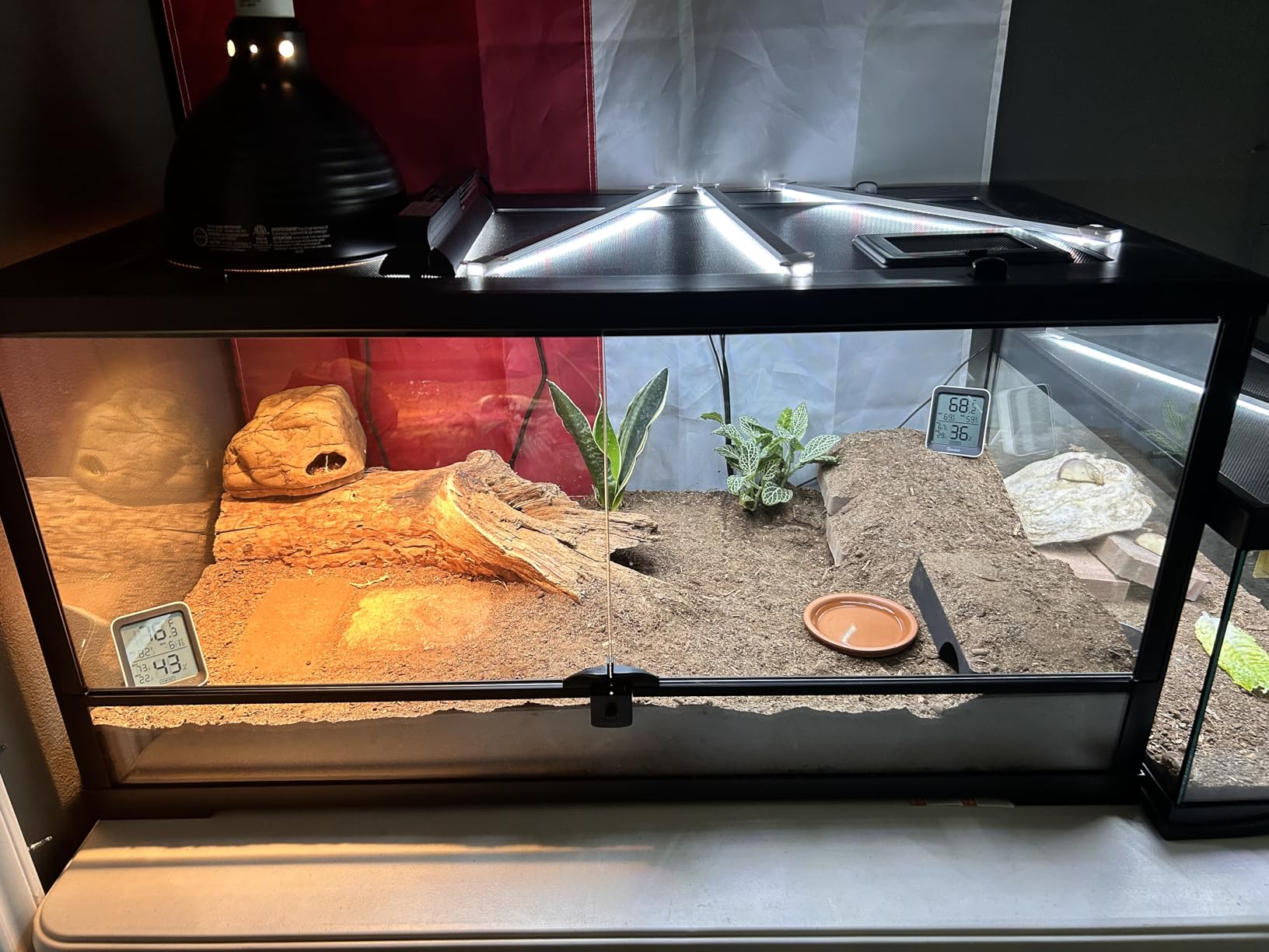 Aiicioo T5 HO UVB Reptile Light Fixture 5.0 8W Light Combo Kit 12 Inch Light Fixture Reptile Terrarium Hood with 8W Reptile Light Bar for Bearded Dragon Lizards Turtle Tank customer photo 1