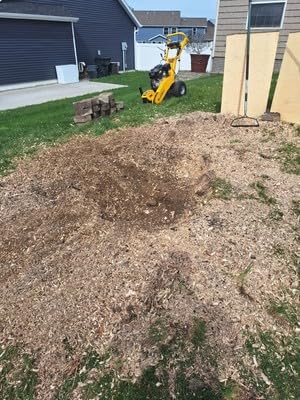 12 Inch DUCAR 420cc 15HP Gasoline Engine Root Stump Grinder Tree Stump Removal, 8pcs Alloy Teeth, 12'' Cutting Height And 10'' Cutting Depth, Wheel Brake System, SGR1500 Yellow customer photo 2