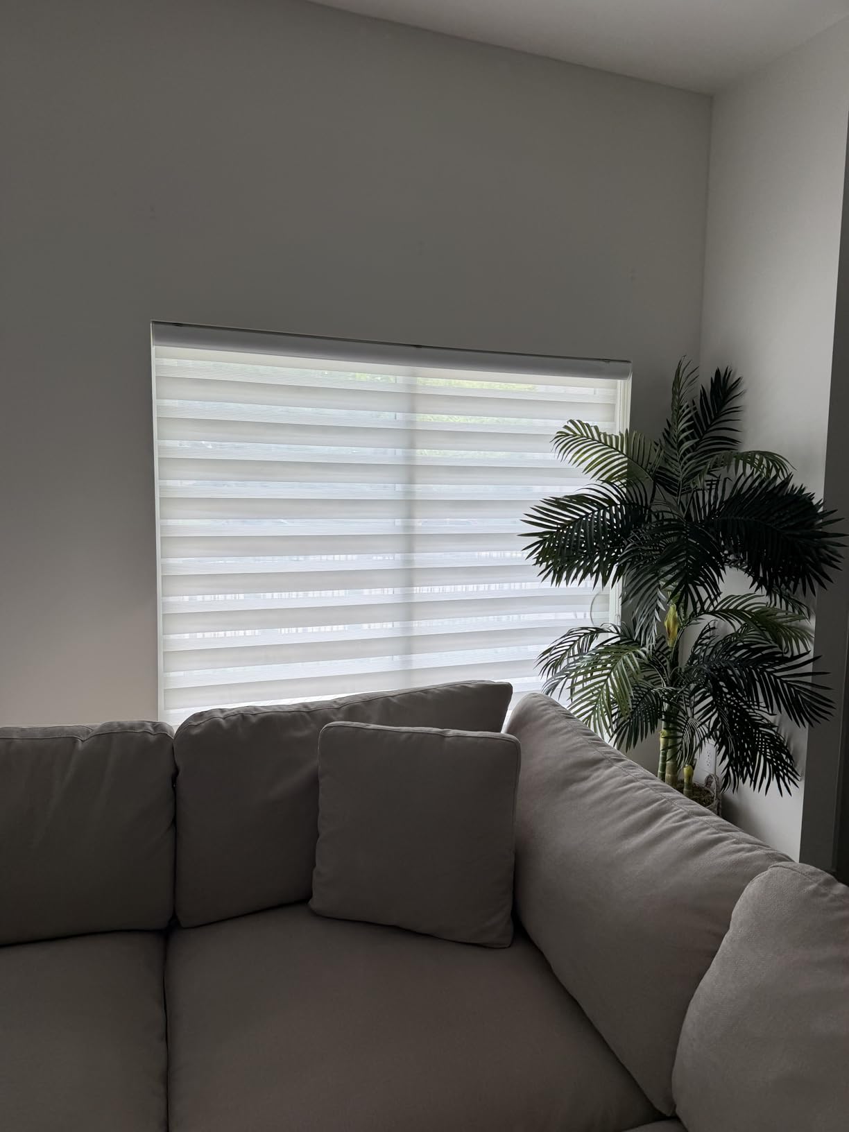 ShadesU Zebra Blinds for Indoor Window Roller, Zebra Shades for Windows Privacy Light Filtering Shades (Maxium Height 72inch) (White Color)(Width 96 inch) customer photo 1