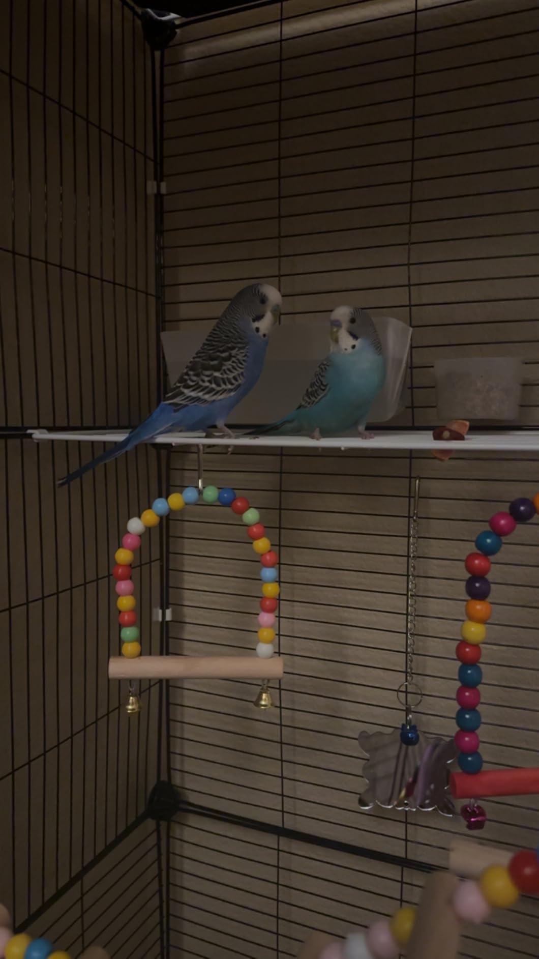 Encrypted Bird Cage Large Bird Cages 57-Inch, Top Storage Space, Bottom Splash Guard with Essential Bird Supplies - Durable & Spacious Aviary - Budgies & Cockatiels customer photo 2