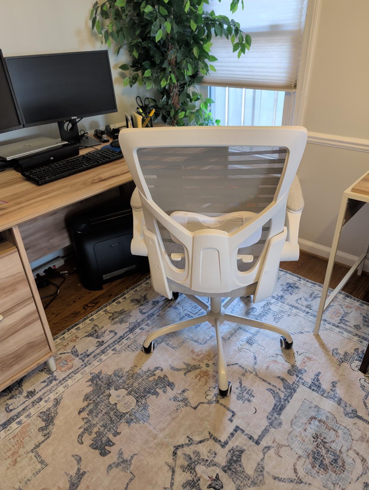 Office Desk Chair for Long Hours and Lower Back Pain Relief - 4 inch Thick Molded Foam Cushion, Enhanced Lumbar Support, Padded Flip-up Armrests customer photo 2