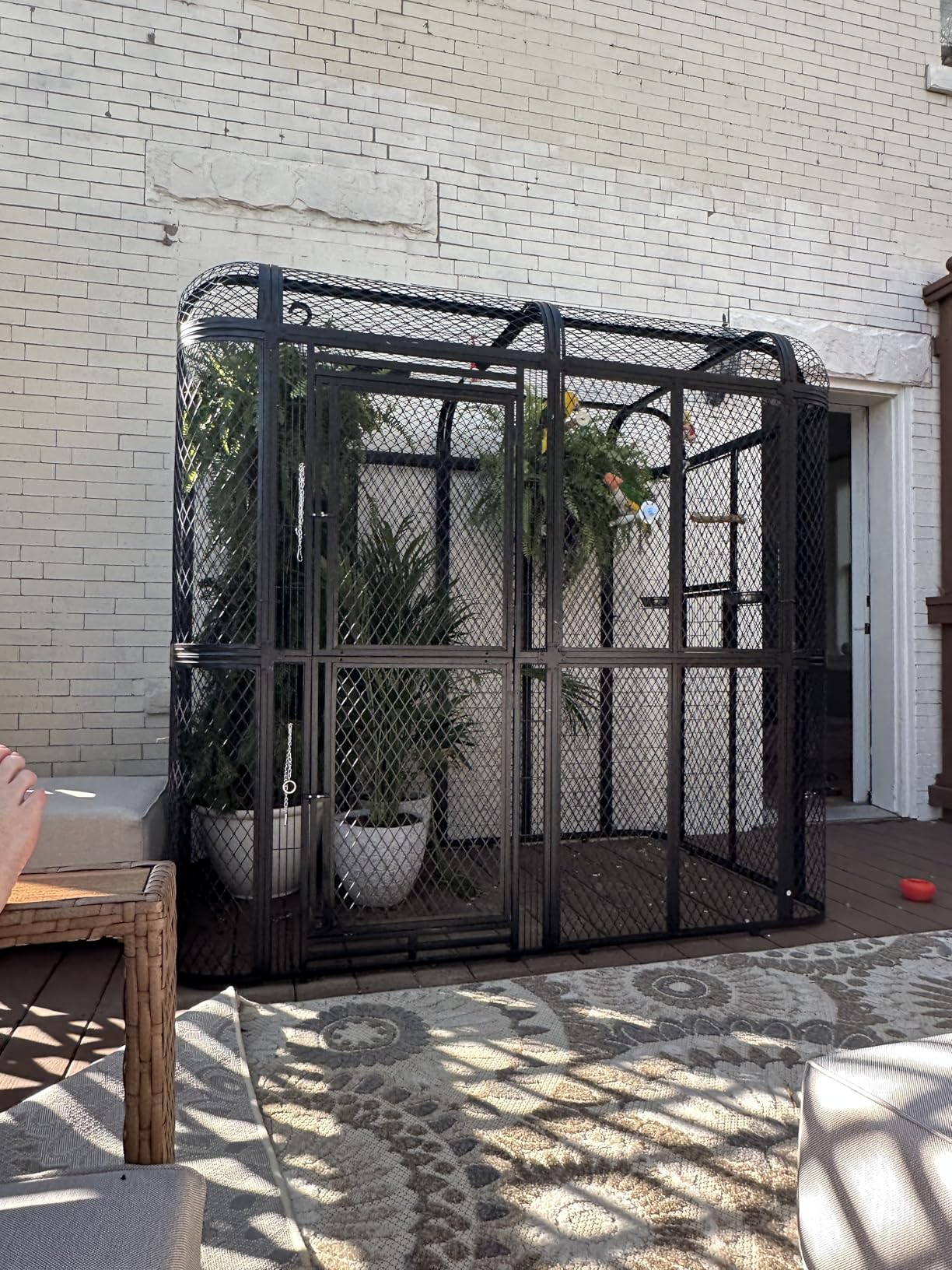 77-Inch Large Walk-in Birdcage Heavy Duty Outdoor Aviary - Rustproof Carbon Steel Flight Cage for Macaw, Budgie, Conure, Lovebird, Parakeet, Cockatiel (Black, 77 inch) customer photo 1
