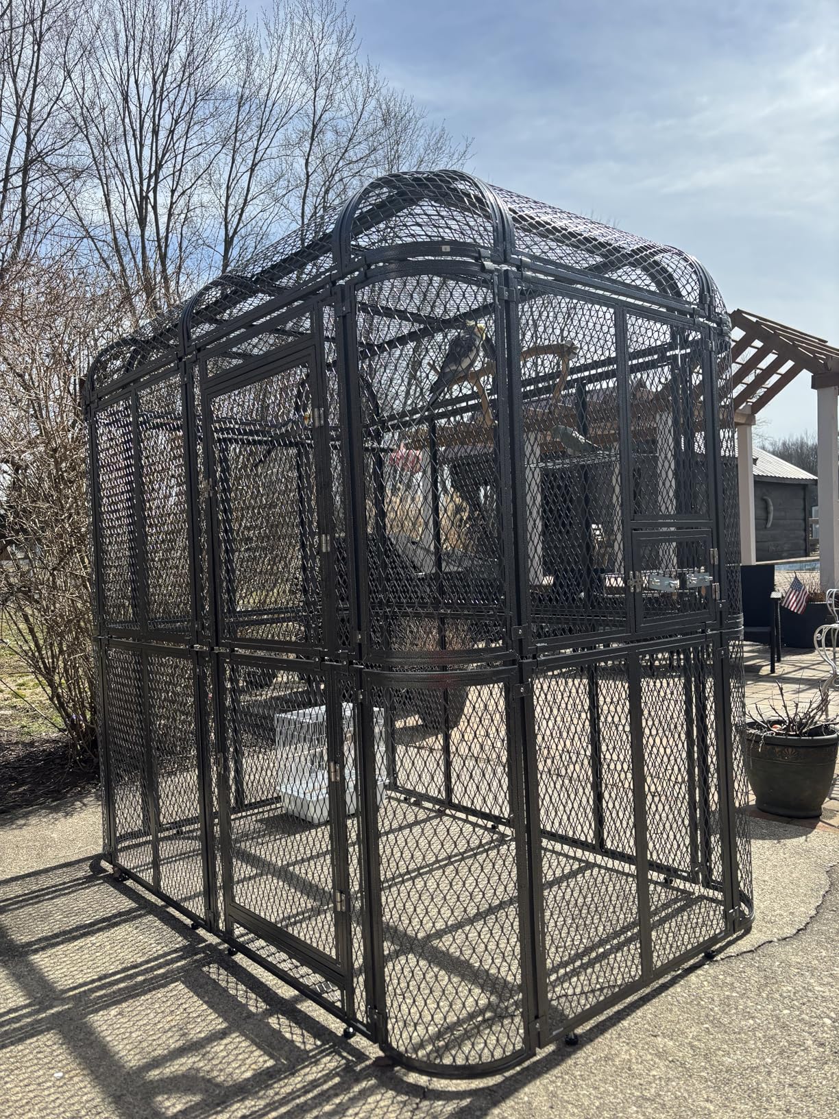77-Inch Large Walk-in Birdcage Heavy Duty Outdoor Aviary - Rustproof Carbon Steel Flight Cage for Macaw, Budgie, Conure, Lovebird, Parakeet, Cockatiel (Black, 77 inch) customer photo 2