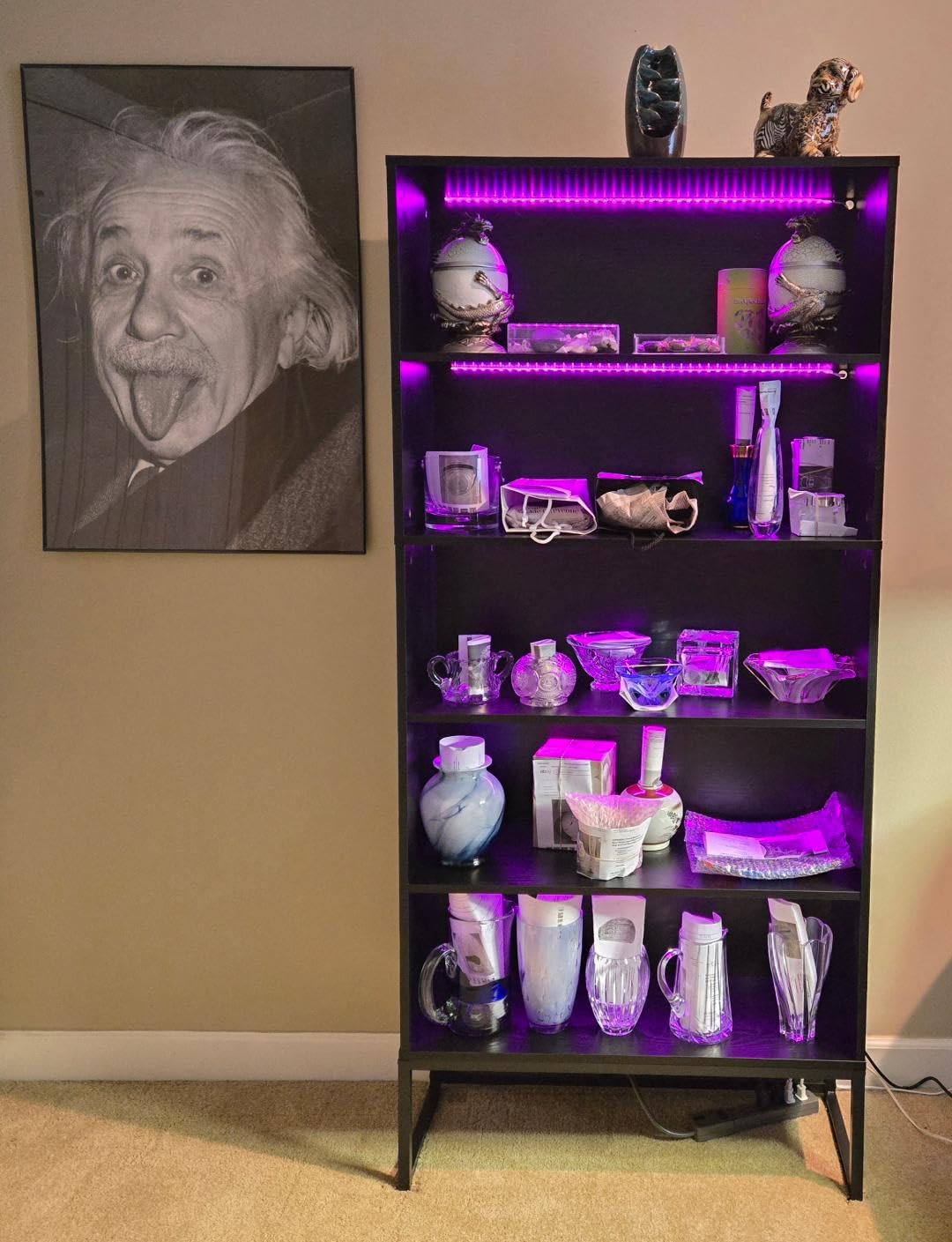 Tribesigns Tall Bookcase Bookshelf, 70.8