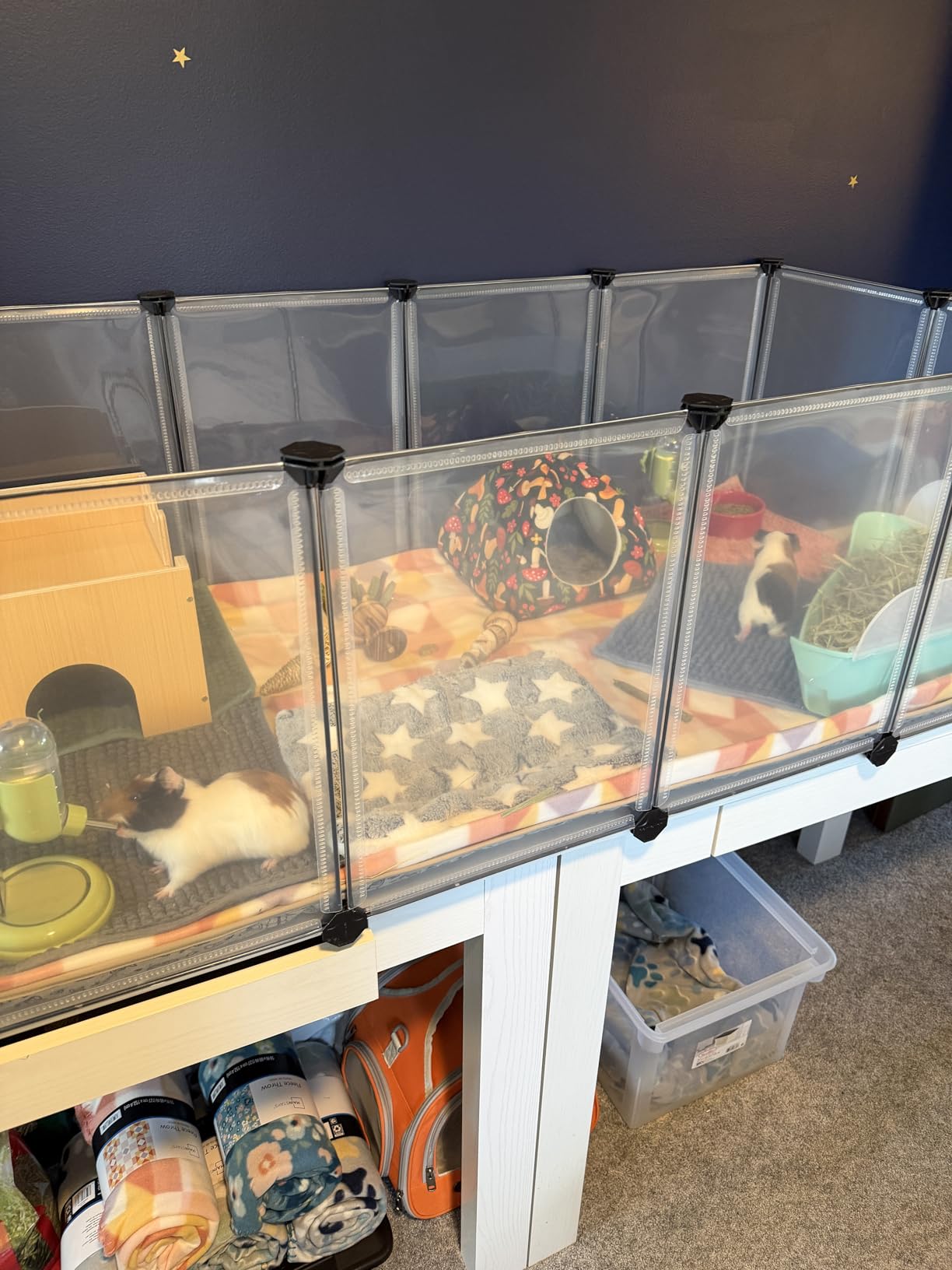 SONGMICS Guinea Pig Cage, Rabbit Cage, Small Animal Playpen with Waterproof Mat, Top and Side Door, 20 Panels, 48.4 x 24.8 x 16.3 Inches, Ink Black ULPI011BH01 customer photo 1