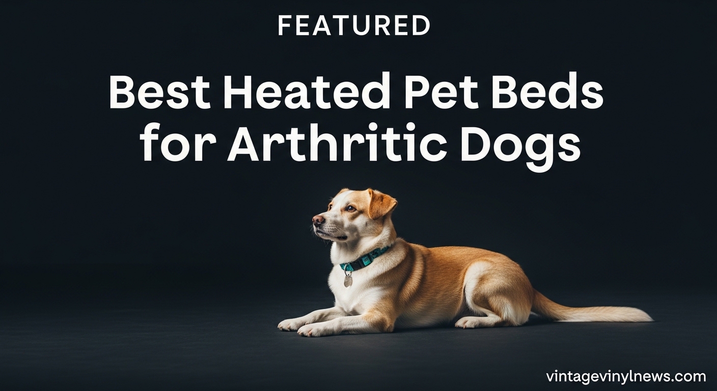 Best Heated Pet Beds for Arthritic Dogs