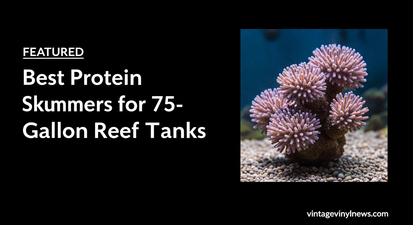 Best Protein Skimmers for 75-Gallon Reef Tanks