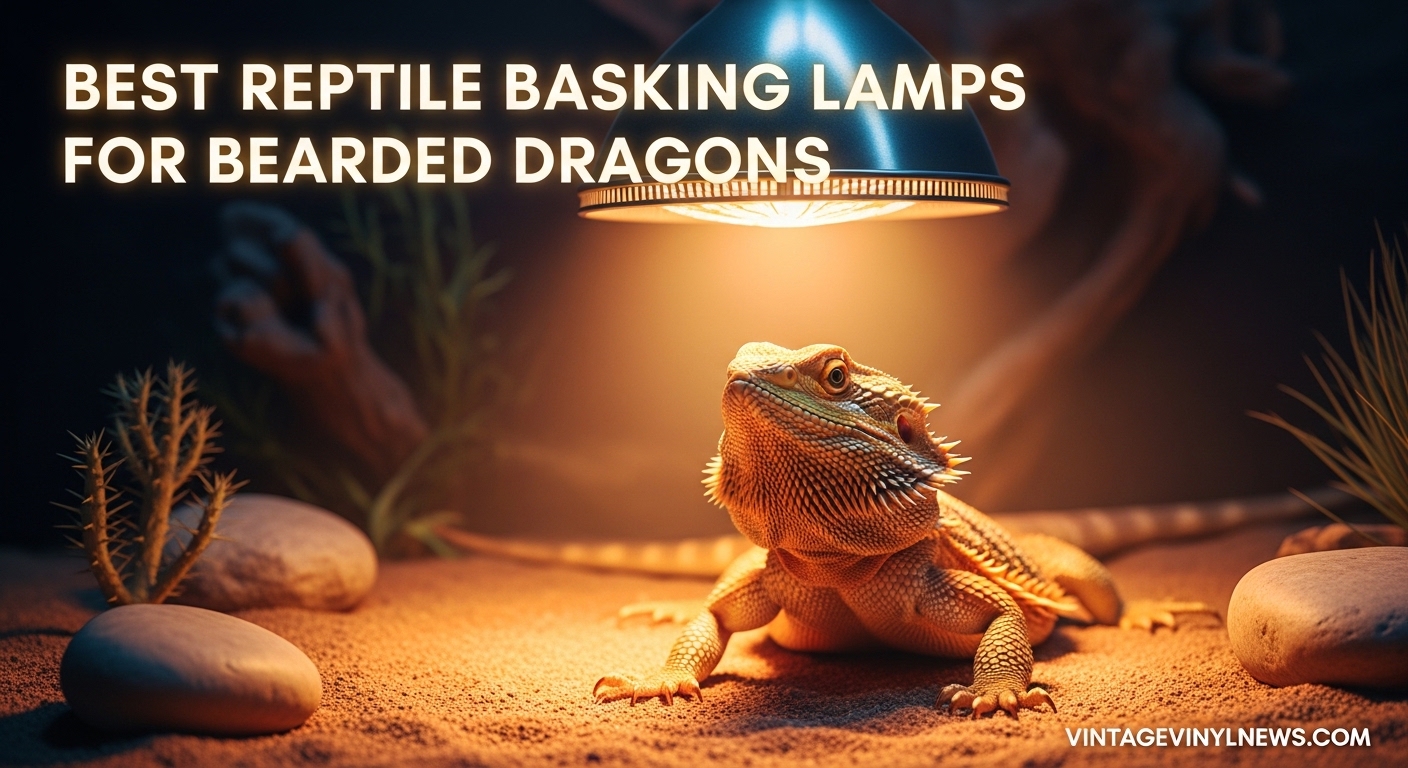 Best Reptile Basking Lamps for Bearded Dragons