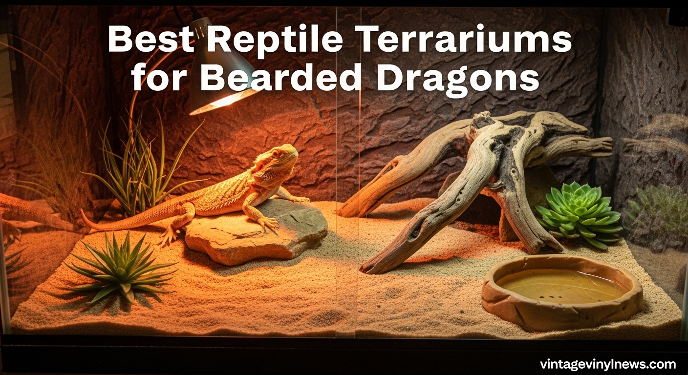 Best Reptile Terrariums for Bearded Dragons