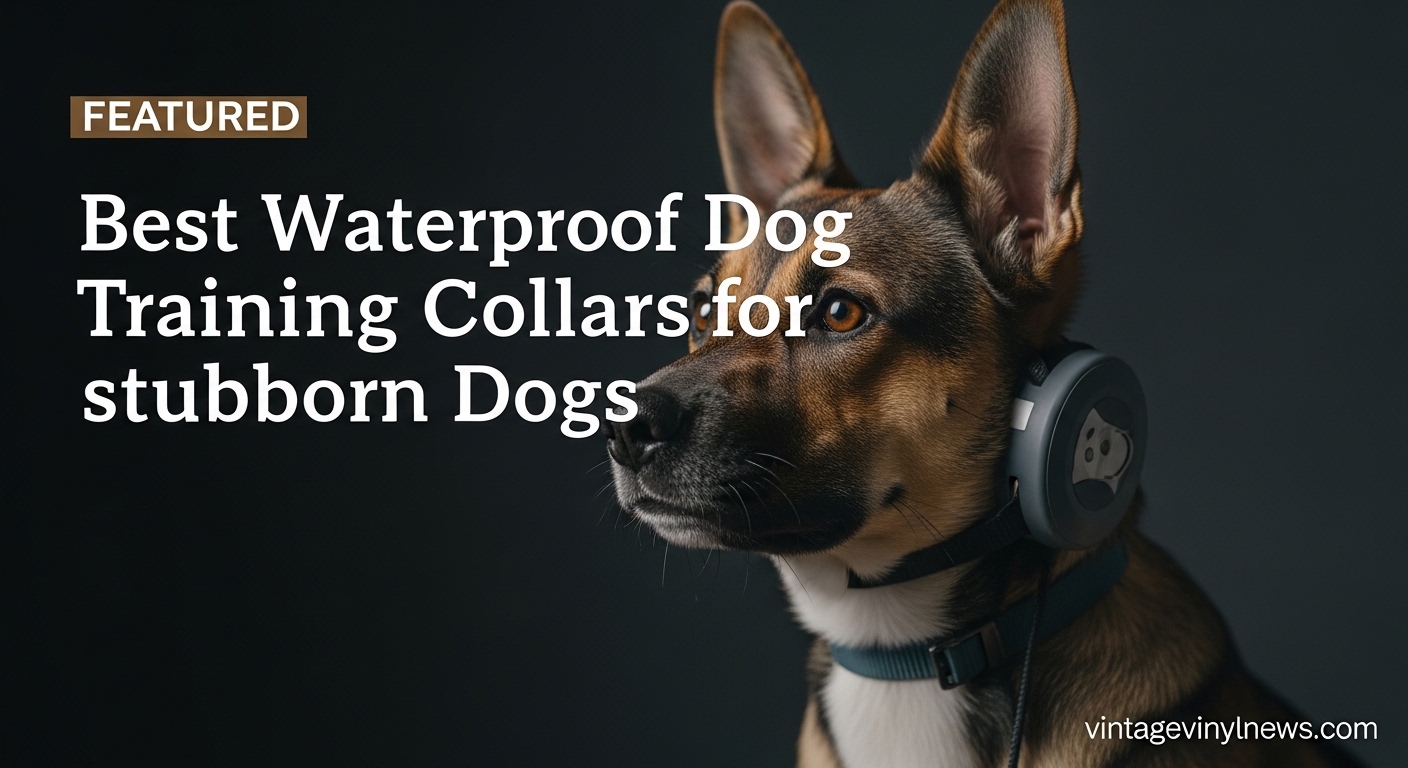 Best Waterproof Dog Training Collars for Stubborn Dogs