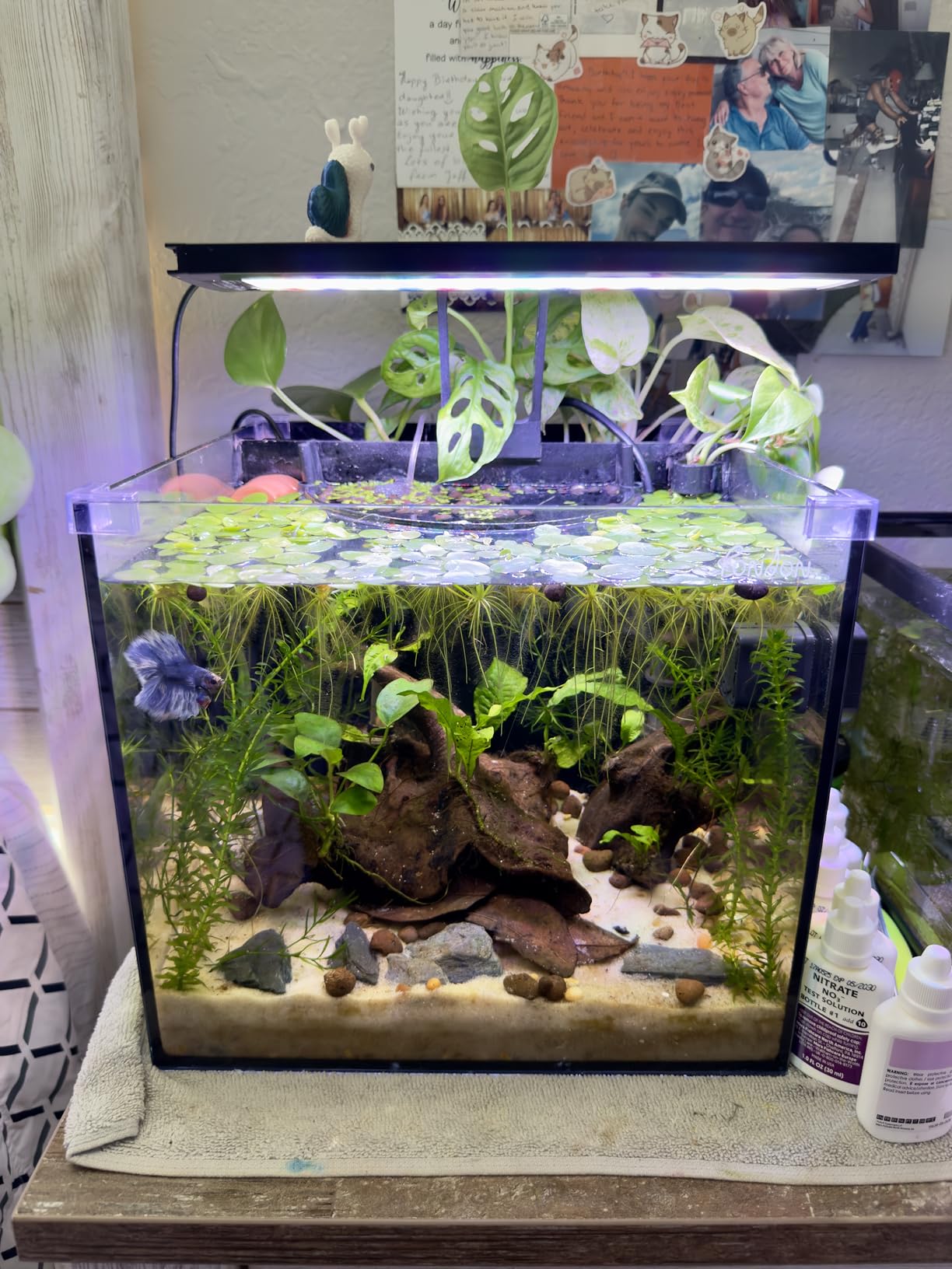 API FRESHWATER MASTER TEST KIT 800-Test Freshwater Aquarium Water Master Test Kit customer photo 2