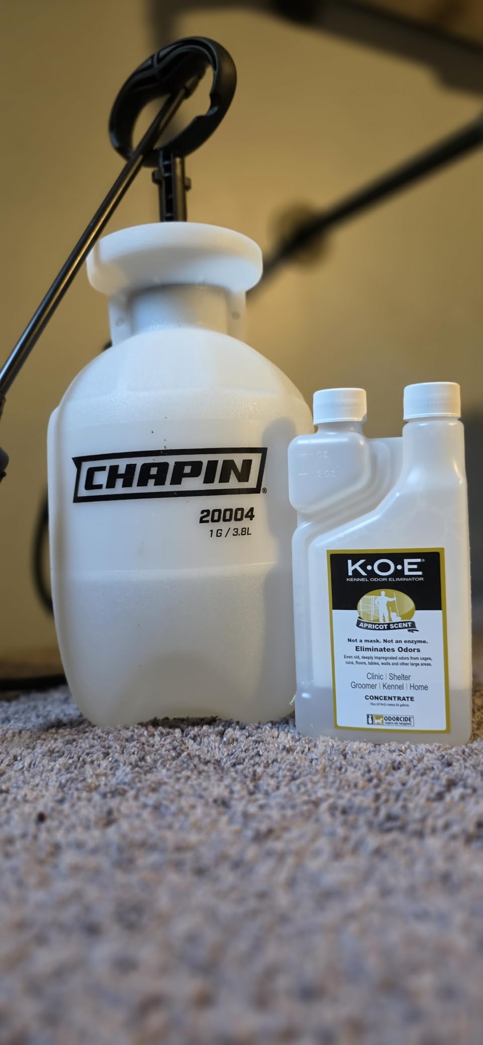 Chapin 20004 Pump Sprayer, 1-Gallon SureSpray Translucent Tank with an Easy Fill Funnel-Top Opening, Adjustable Cone Nozzle & 34