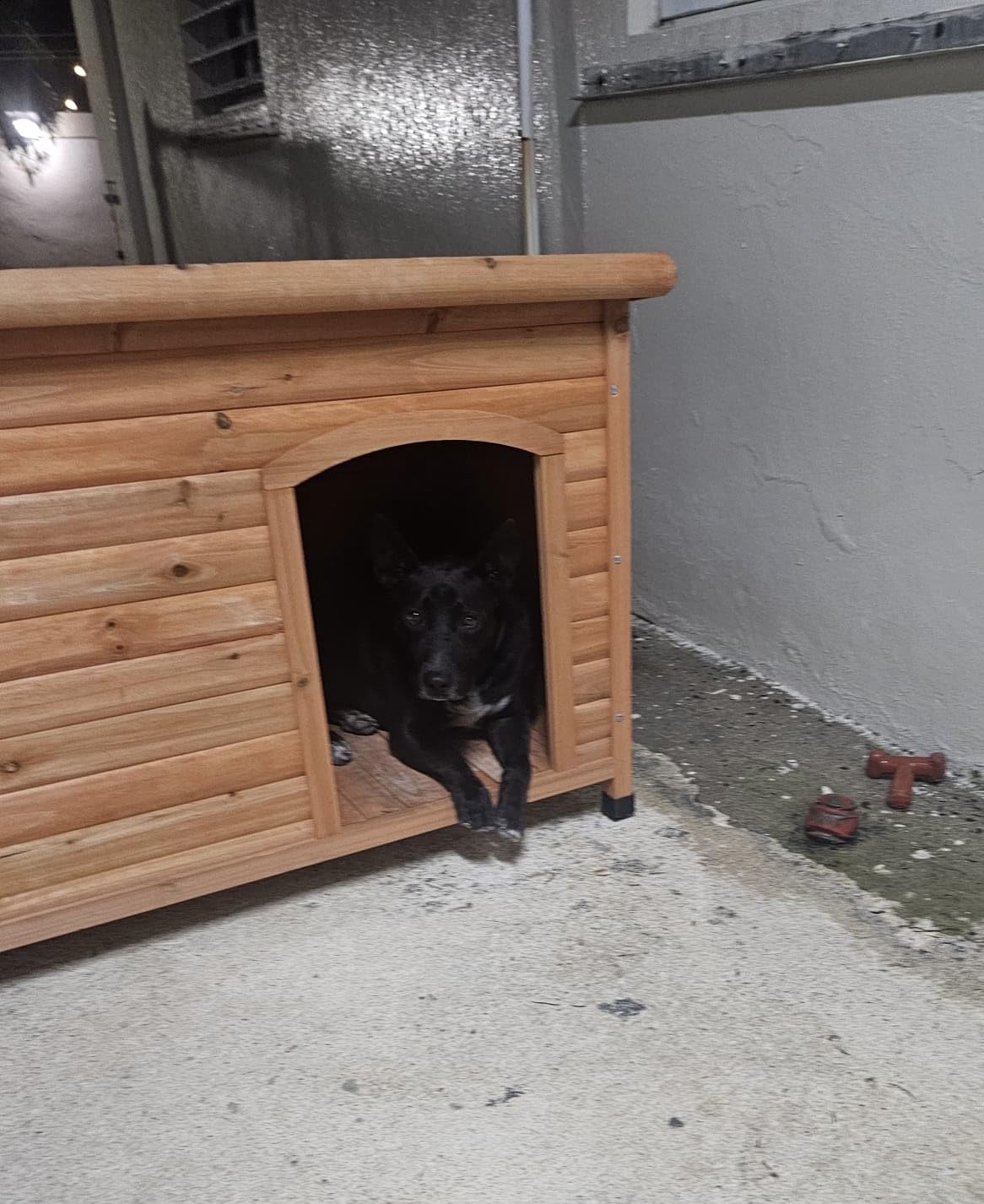TRIXIE Pet Products Dog Club House, Large, Glazed Pine, 40.75x26.75x28.25 Inch customer photo 1