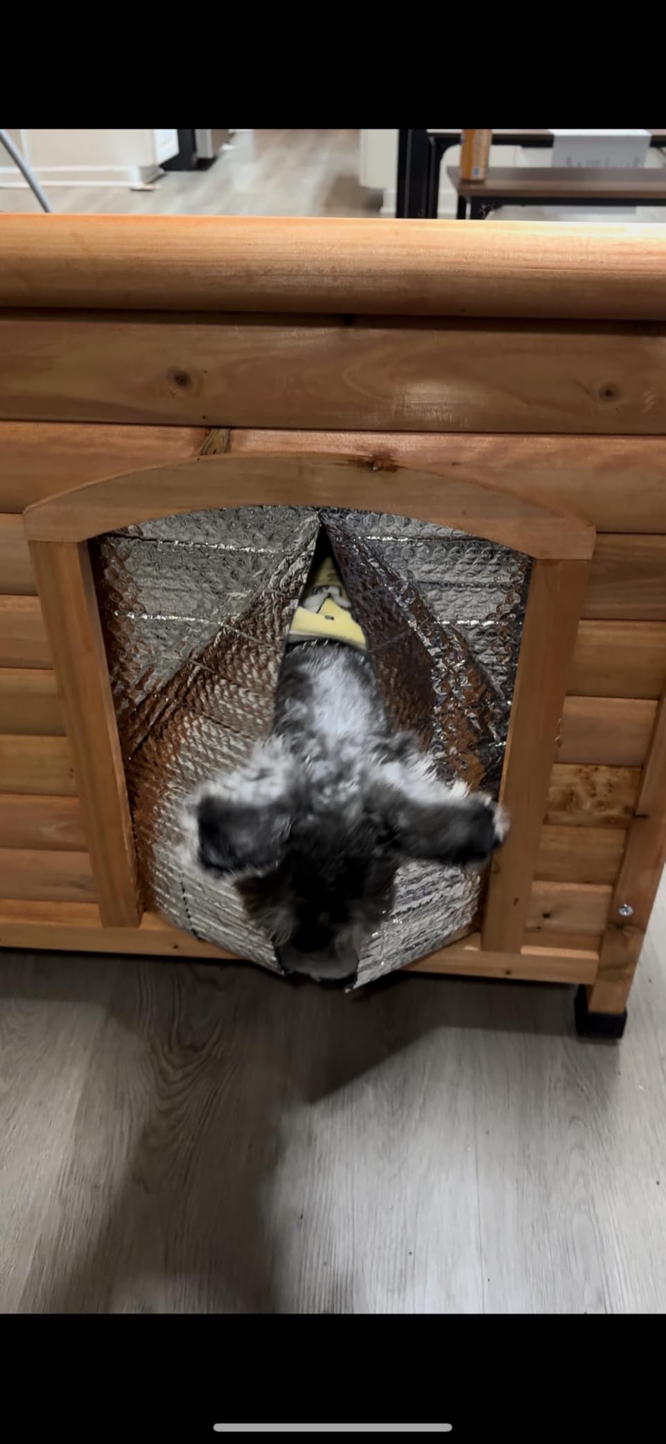 TRIXIE Pet Products Dog Club House, Large, Glazed Pine, 40.75x26.75x28.25 Inch customer photo 2