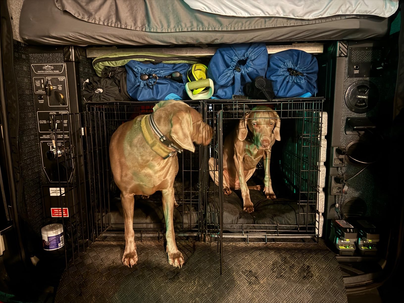 MidWest Homes for Pets Solutions Series Large Side-by-Side SUV Dog Crate, Double Door Folding Metal Cage Designed to Fit in SUVs & Vans, for Dogs up to 90 Lbs customer photo 2
