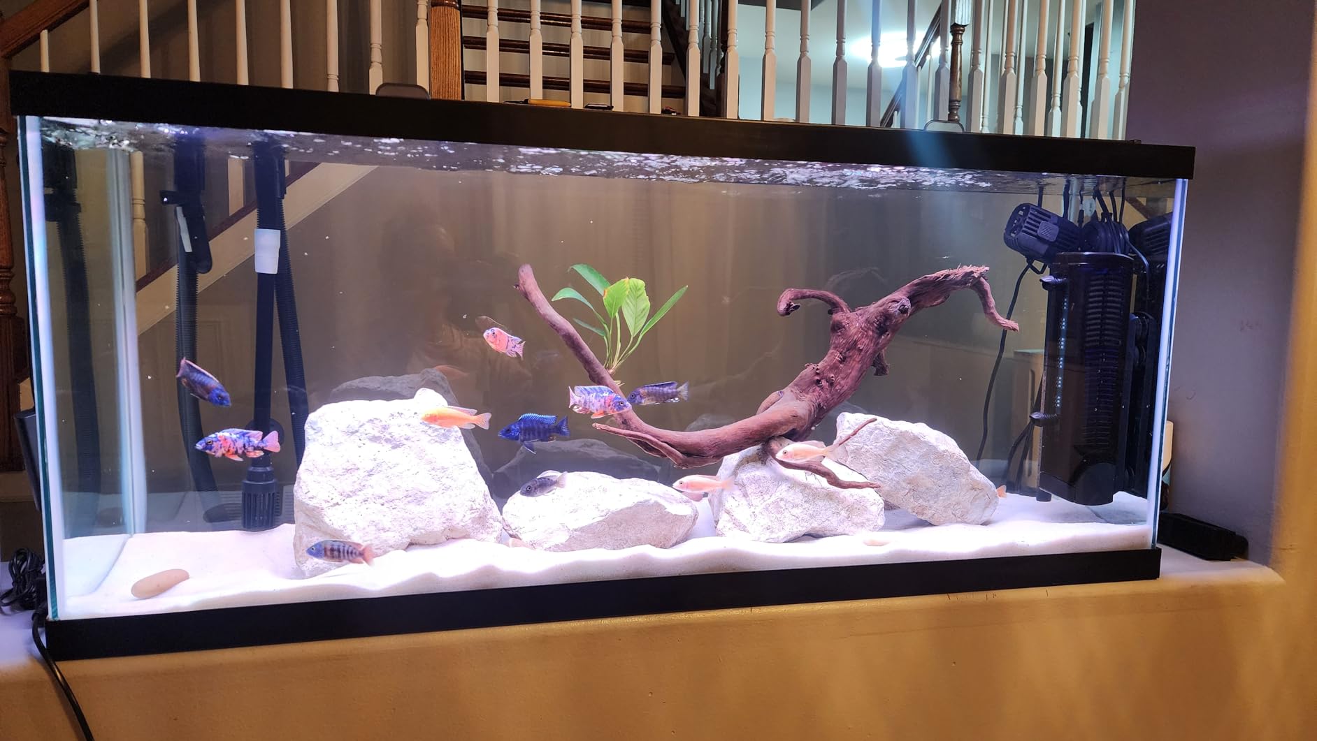 Fluval U3 Underwater Filter - Designed for Freshwater and Saltwater Aquariums, Also Ideal for Terrariums and Turtle Tanks customer photo 2