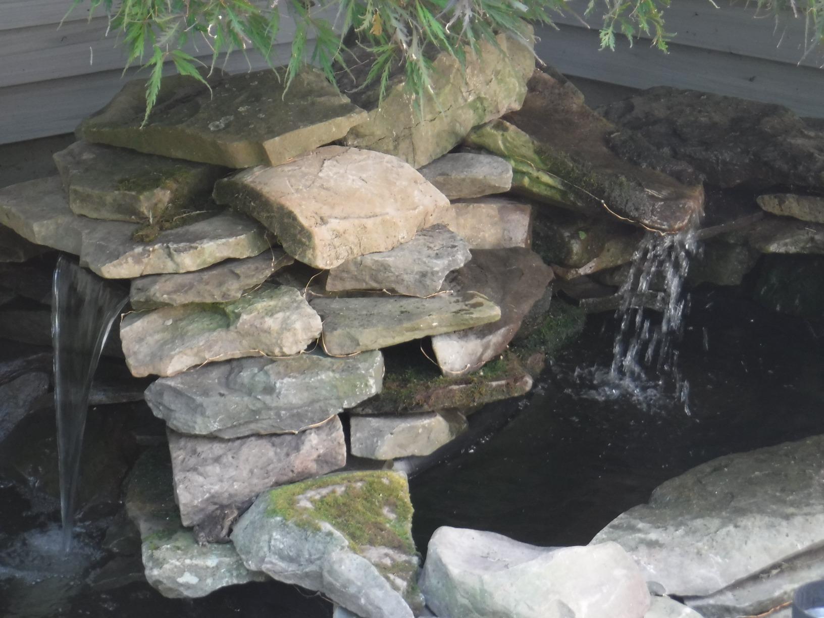 Tetra Water Garden Pond Pump, 1000 GPH, Powers Waterfalls, Filters and Fountains for Ponds 500 To 1000 Gallons customer photo 2
