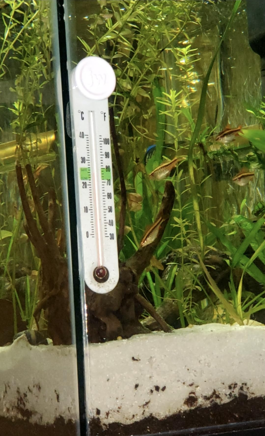 JW Aquarium SmartTemp Thermometer customer photo 1