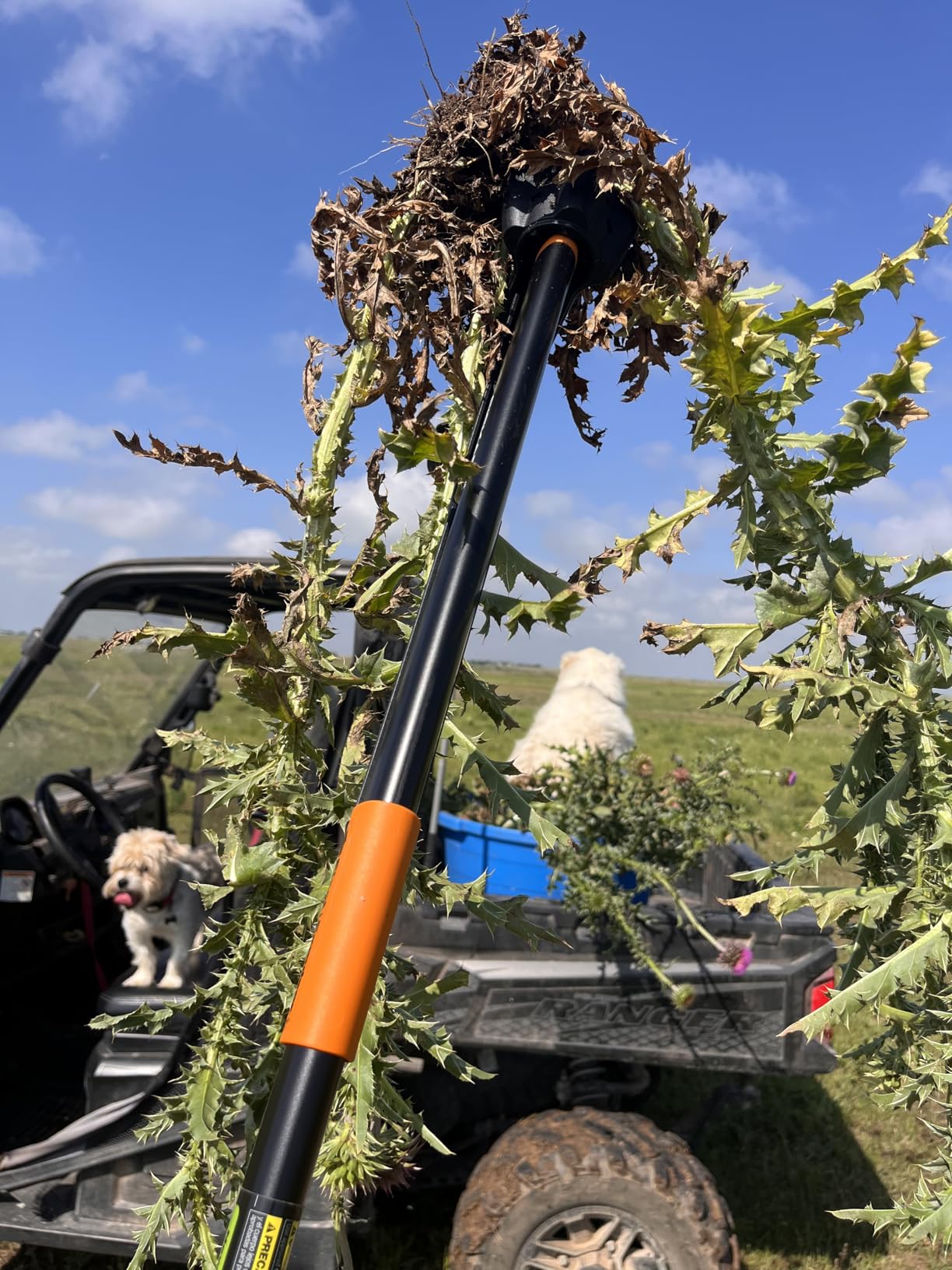 Fiskars Stand-Up Weed Puller Tool, 4 Serrated Stainless Steel Claws Grip Roots for Permanent Removal, Reinforced Foot Platform Penetrates Tough Soil, Easy-Eject & Ergonomic Offset Handle, 39