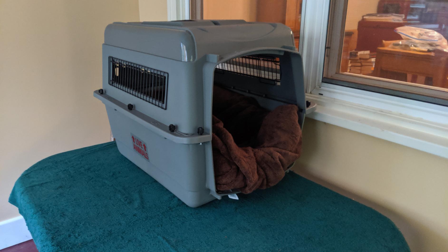 Petmate Sky Kennel For Air and Travel Airline Compliant Dog Crate for Smaller Dog Breeds or Pets up to 15 lbs, Heavy Duty Dog Kennel, Made in the USA- 21