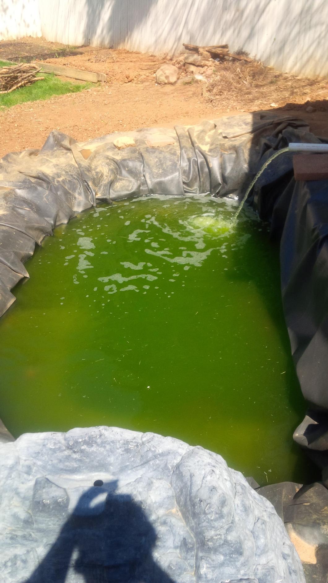 Tetra Pond UVC-18 GreenFree UV Clarifiers, Up To 4400 Gallons, 18-Watt customer photo 2