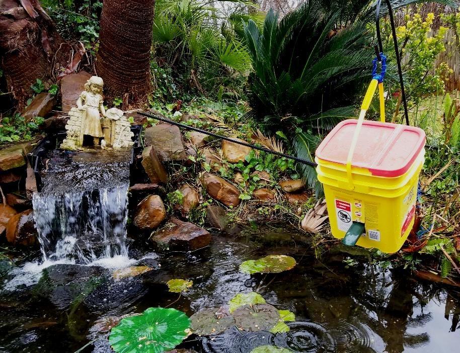Fish Mate P7000 Automatic Pond Fish Feeder - Programmable LCD Timer, 6.5 lb Capacity, Adjustable Portions for Pellets & Sticks, Weather Resistant Outdoor Design customer photo 2