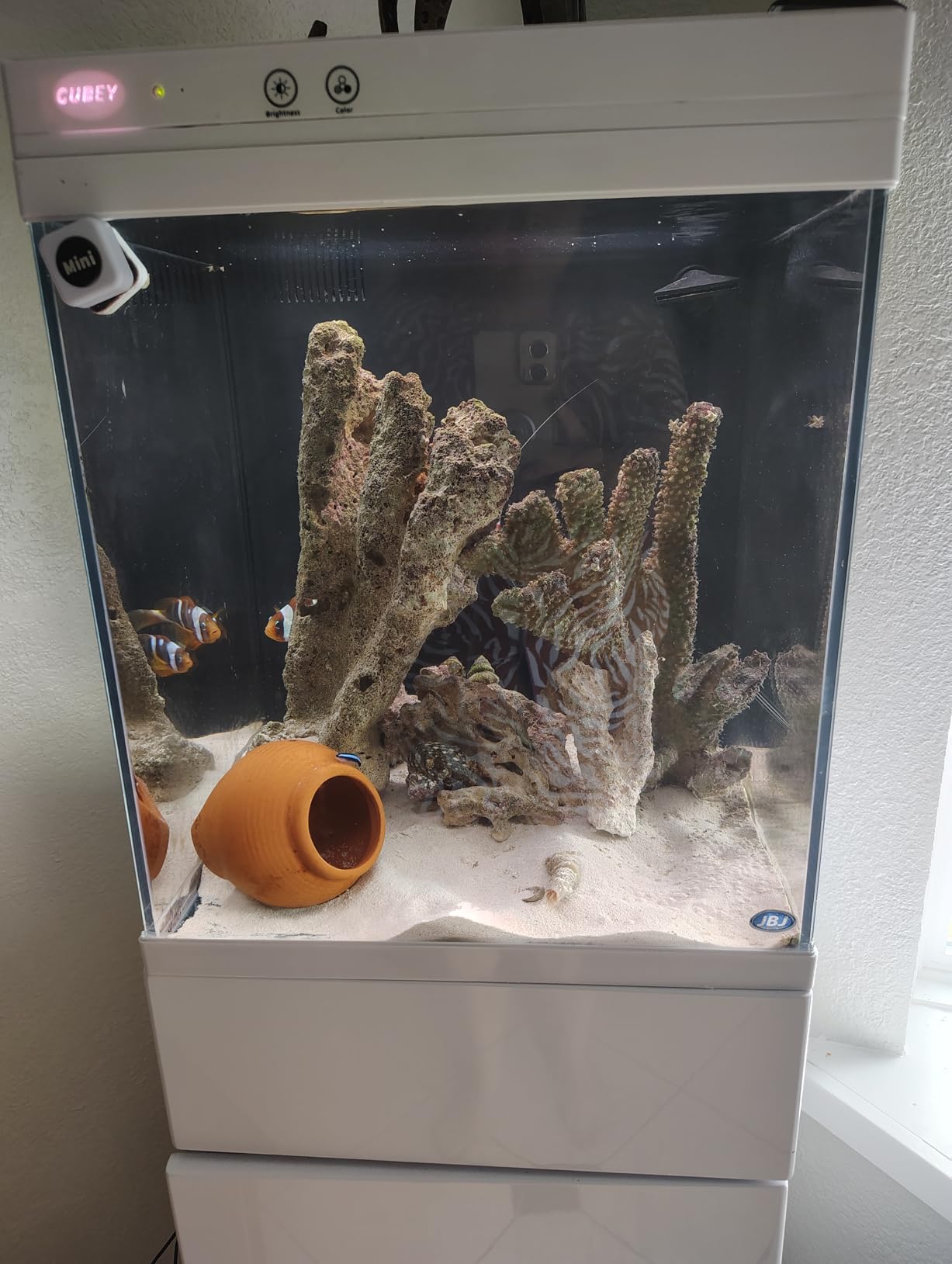 SICCE Syncra Silent 1.0 Multifunction 251 GPH Submersible Water Pump | Italian Made 16W Ultra Quiet customer photo 1