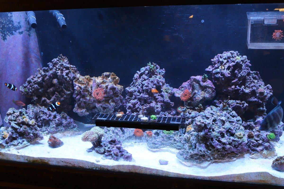 Coralife Aquarium Fish Tank Marine Salt Water Turbo-Twist UV Sterilizer 6X, For up to 250 Gallons customer photo 2