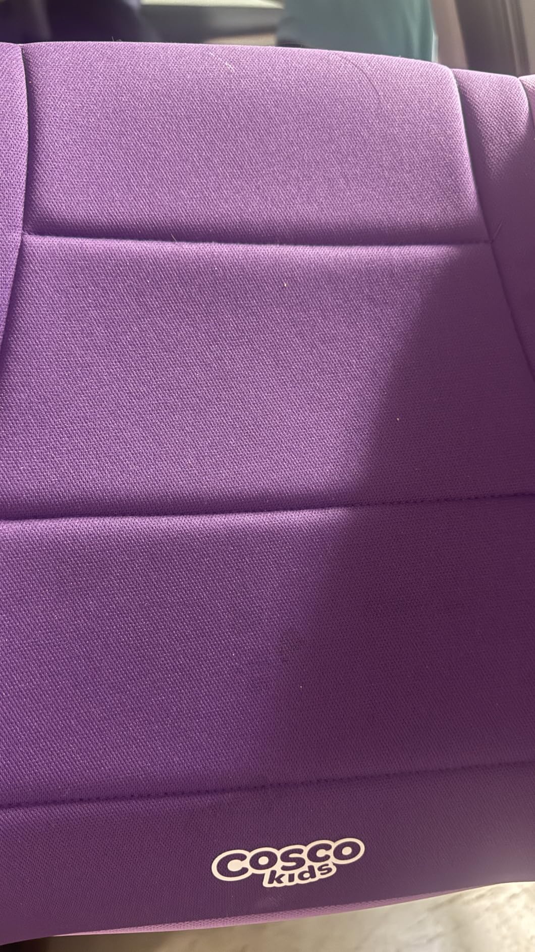 Cosco Topside Backless Booster Car Seat, Leo customer photo 2