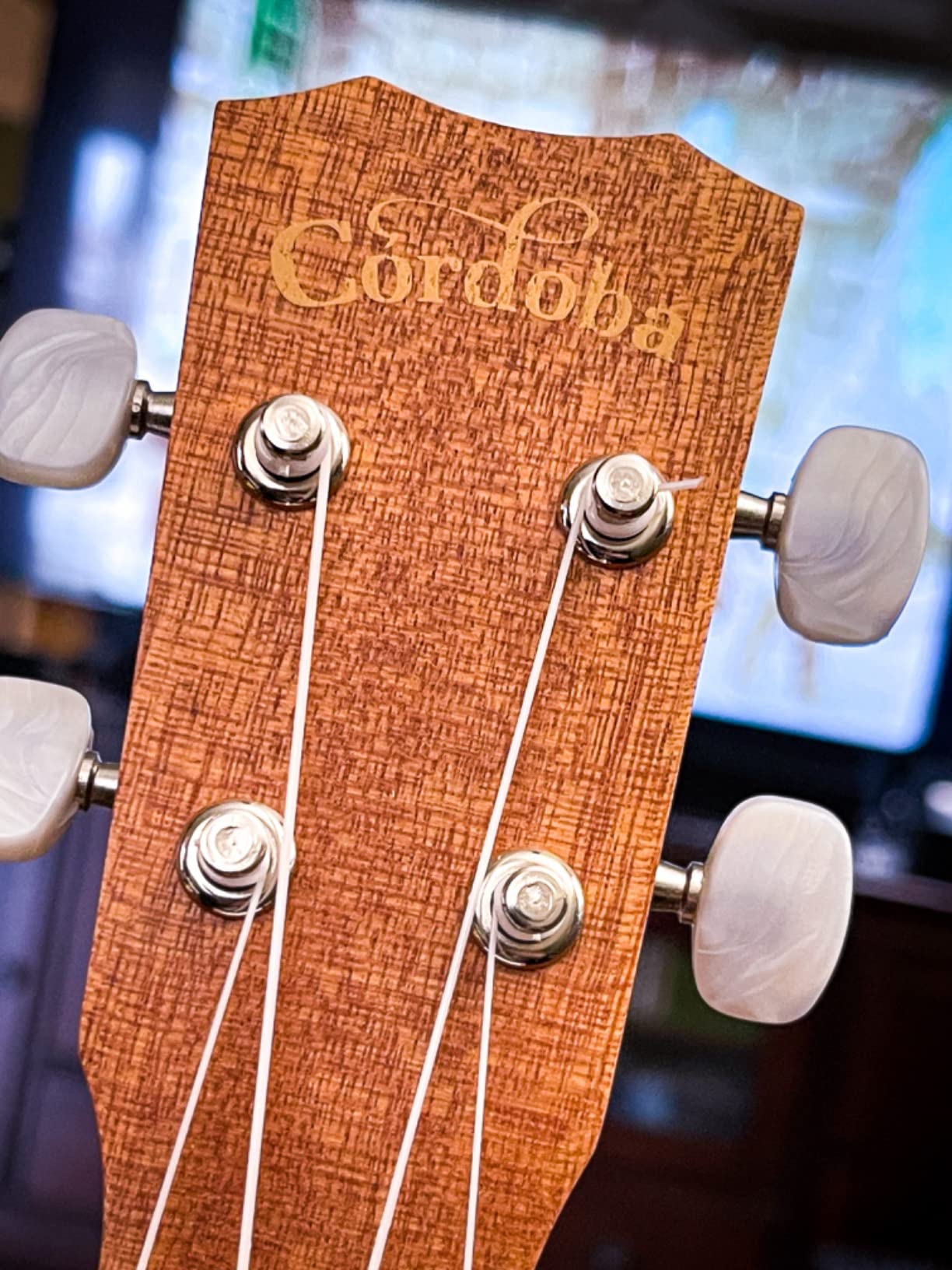 Cordoba 15SM Soprano Ukelele customer photo 2