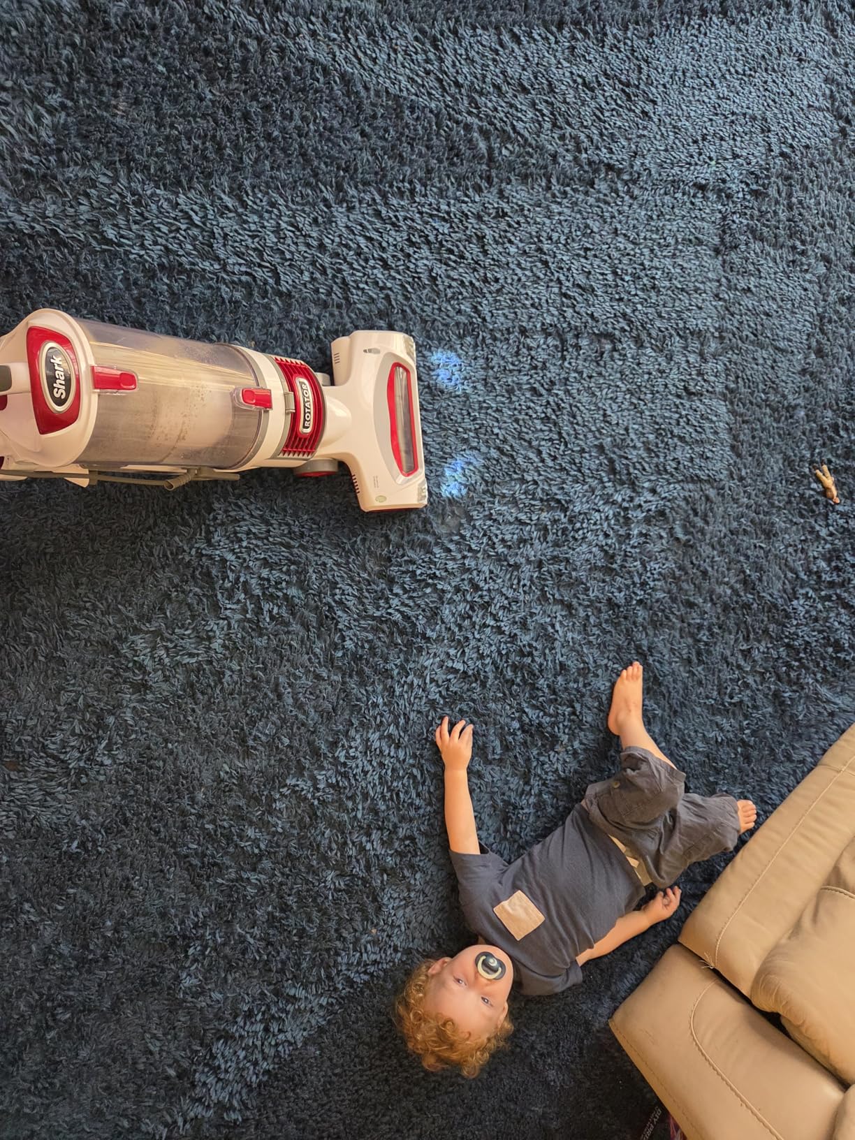 Shark Rotator Lift-Away NV501 Upright Vacuum Cleaner with HEPA Filter & Swivel Steering customer photo 2