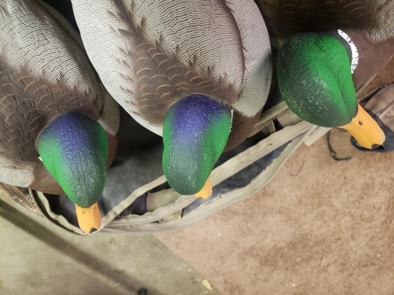 Avian X Topflight Realistic Open Water Mallard Duck Decoys with Weight-forward Swim Keel, Set of 6 customer photo 2