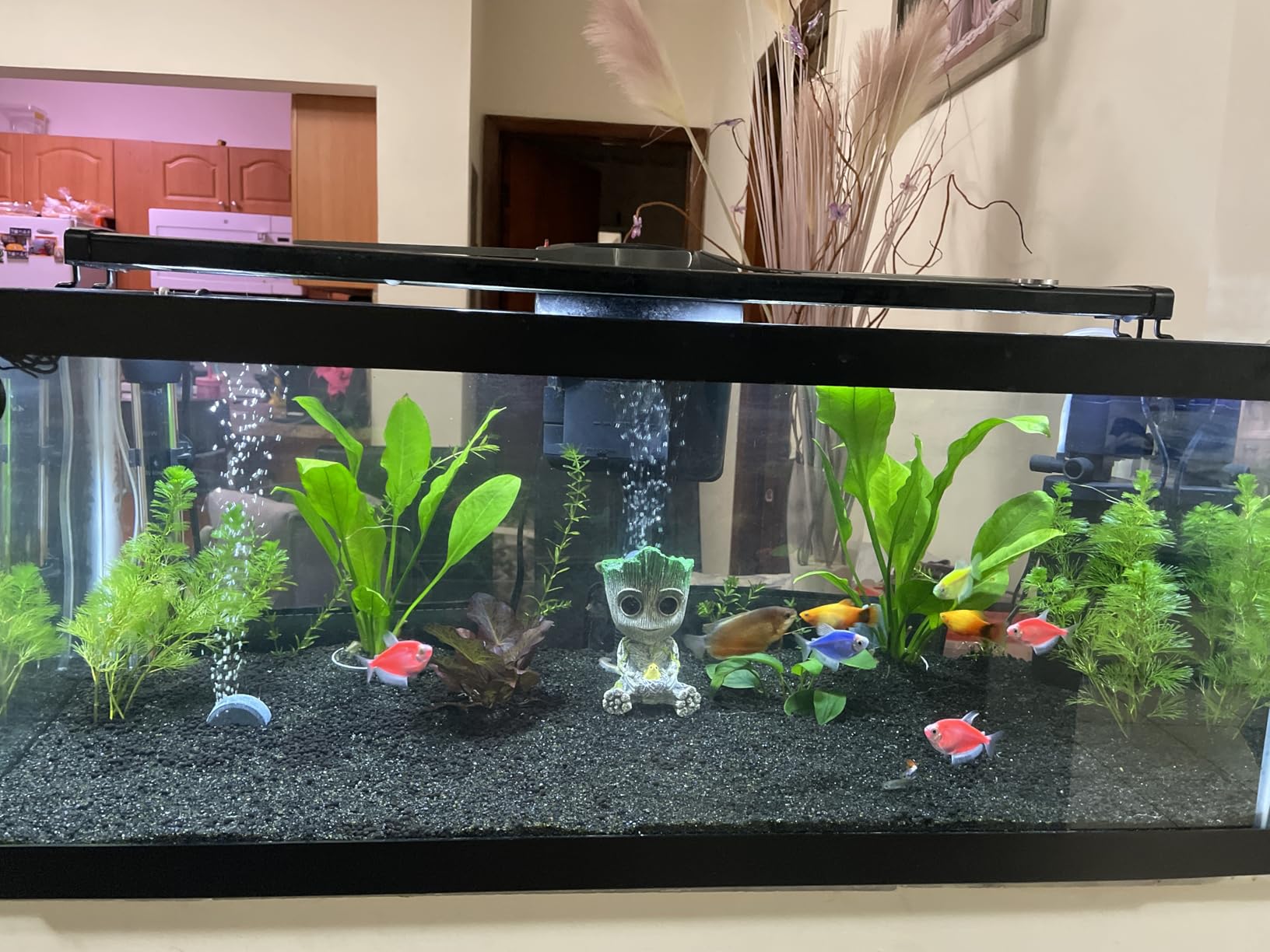 Fluval 12693 Plant and Shrimp Stratum for Freshwater Fish Tanks, 4.4 lbs. - Aquarium Substrate for Strong Plant Growth, Supports Neutral to Slightly Acidic pH customer photo 1