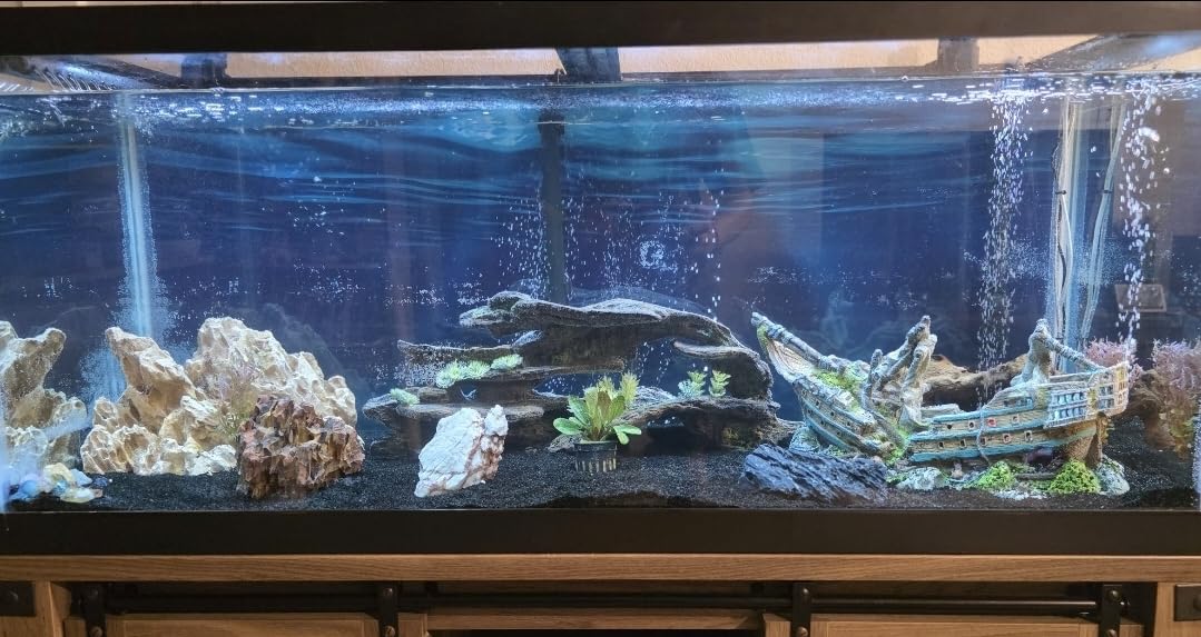 CaribSea Super Naturals Aquarium Sand Moonlight - 50 lb - Smooth Fish-Friendly Substrate, Natural Look, No Paints or Dyes, Ideal for Freshwater Aquariums customer photo 1